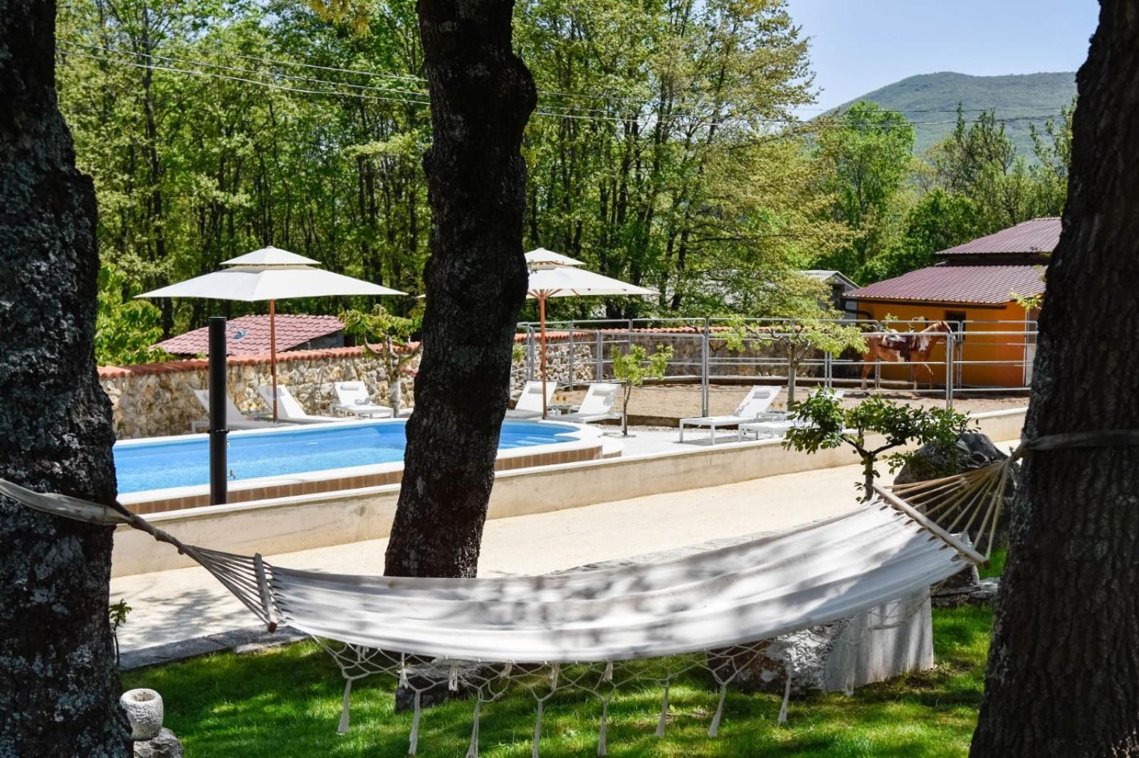 Holiday home with swimming pool, wellness, horses and donkeys