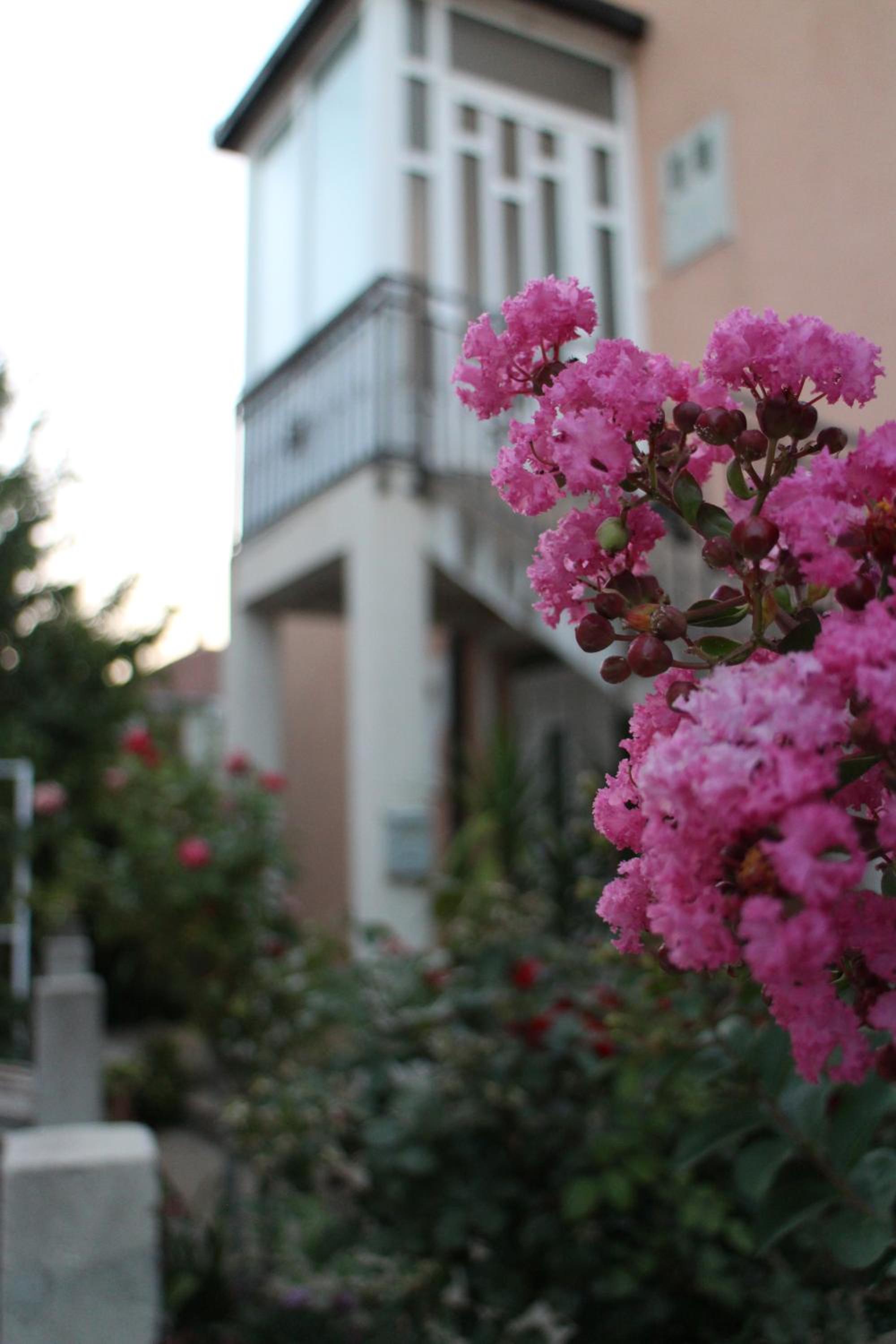 Apartman Anja