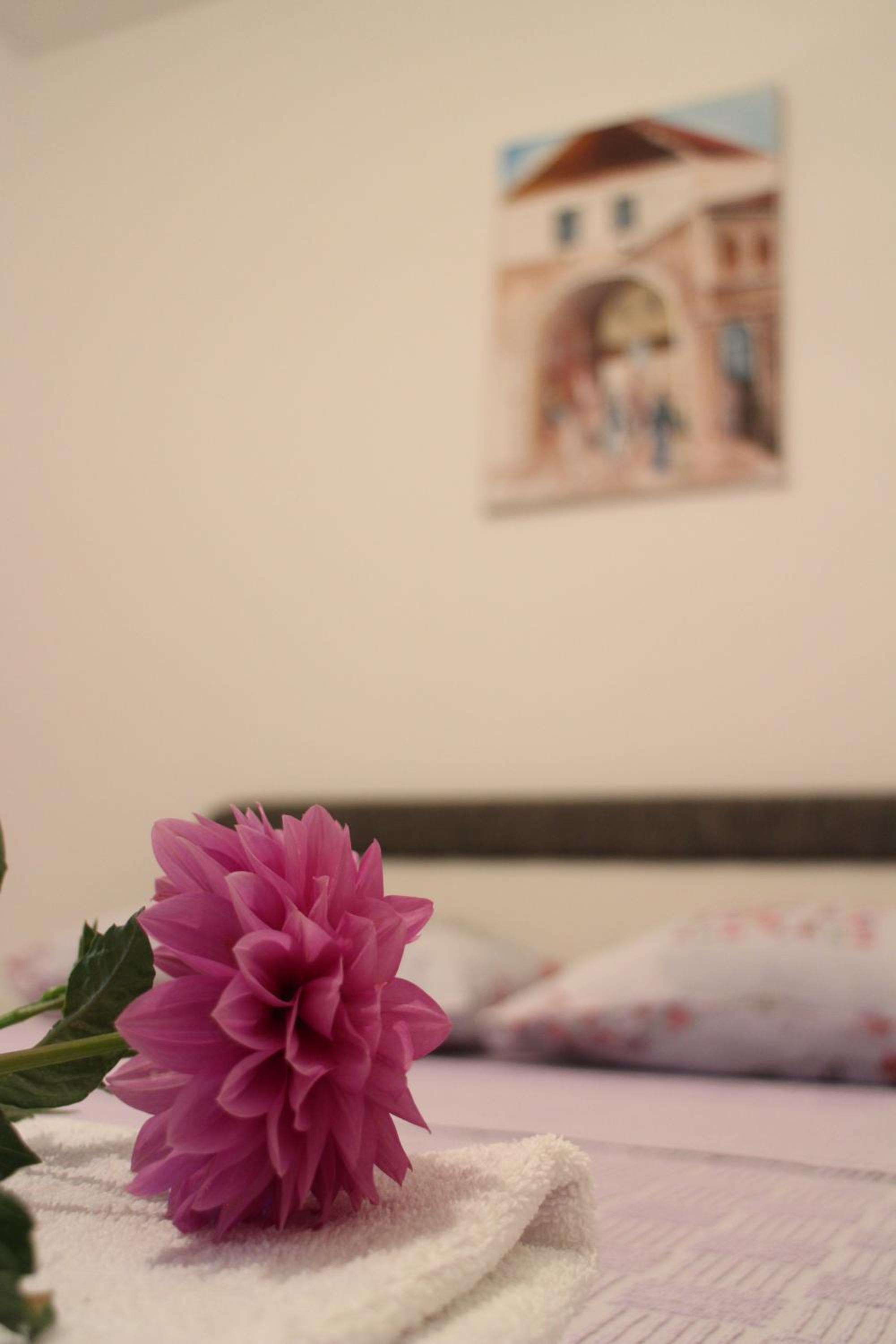 Apartman Anja