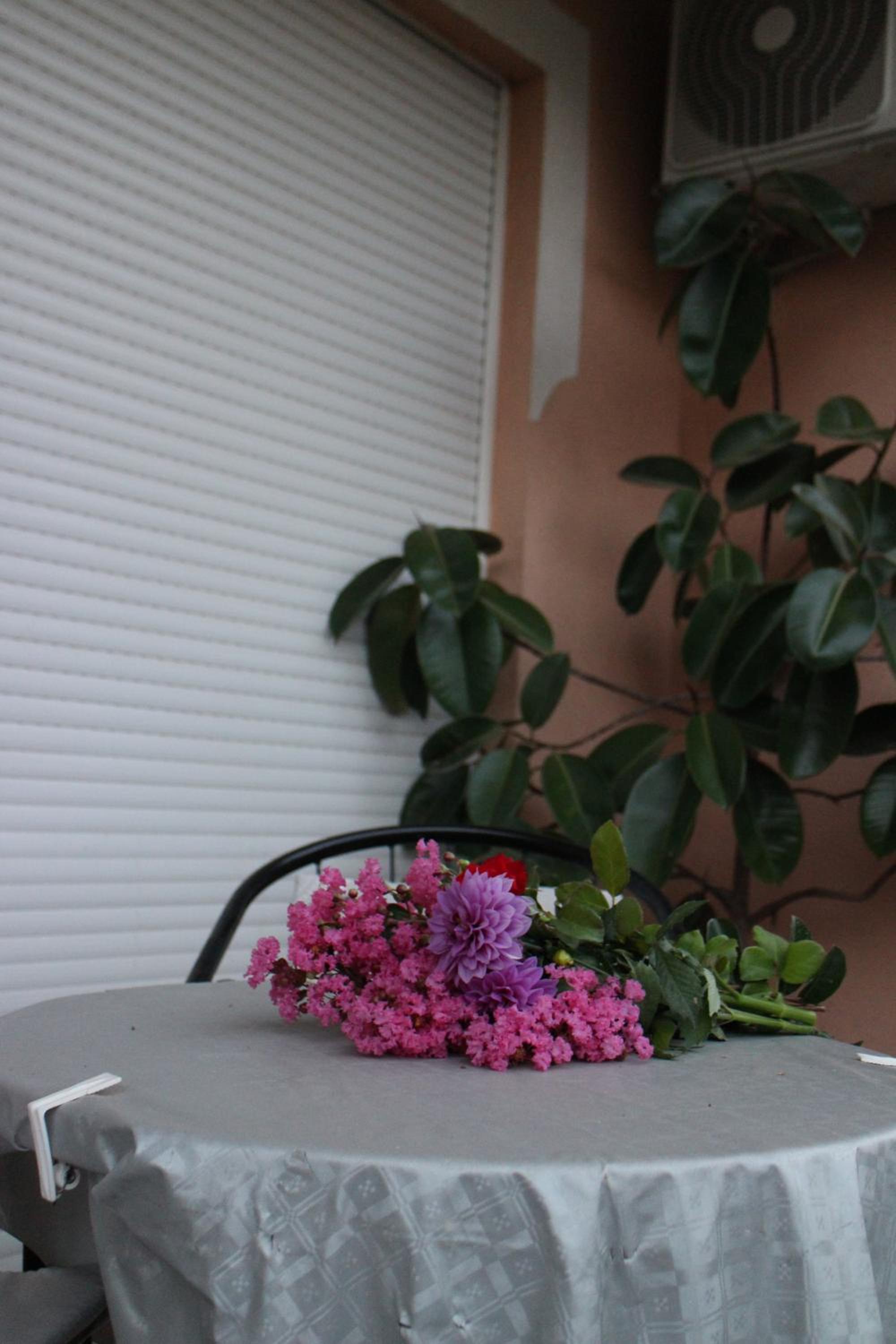 Apartman Anja