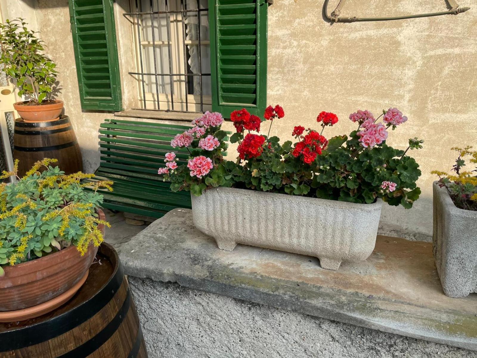 Photo 14
