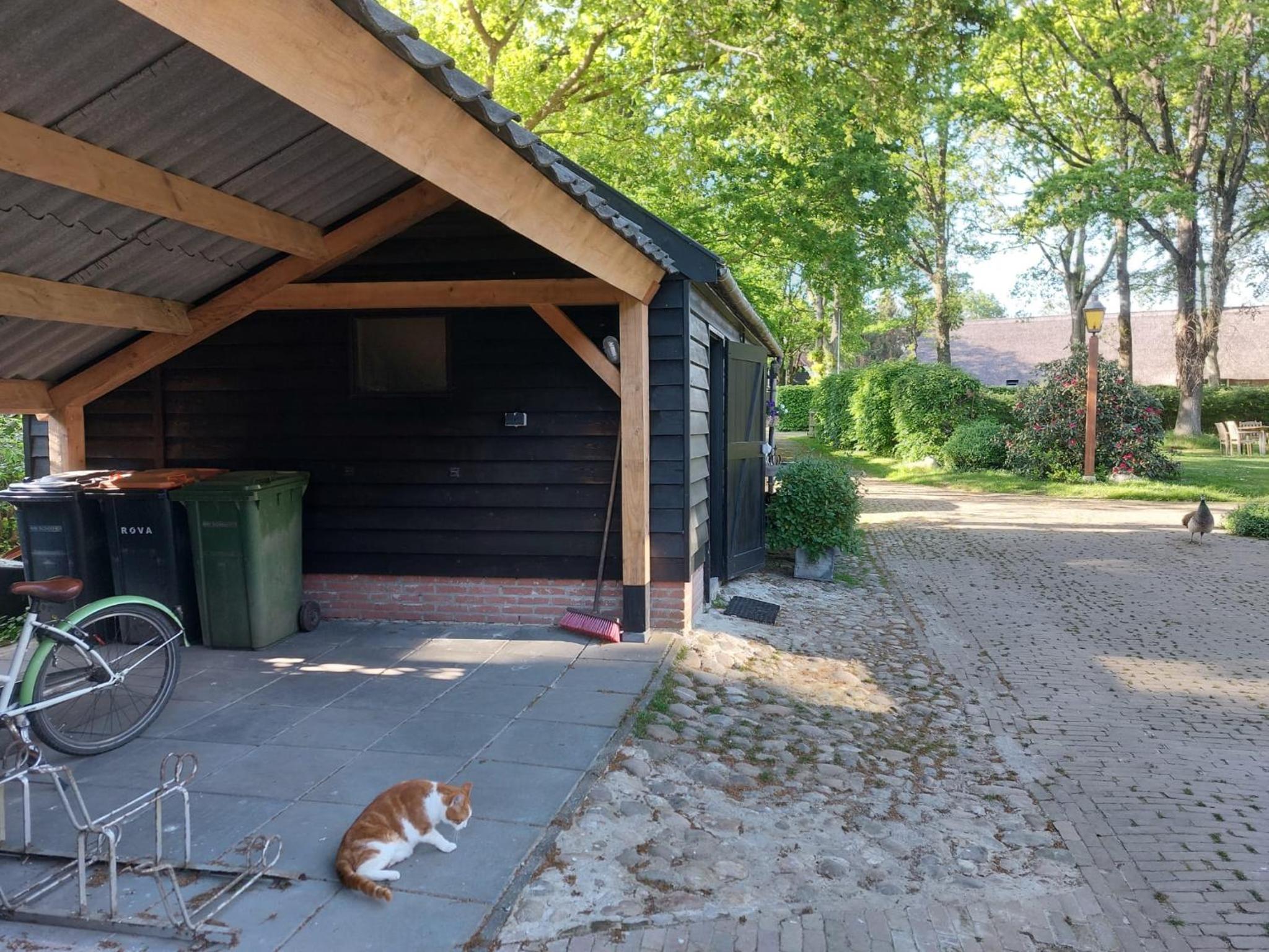 Photo 17
