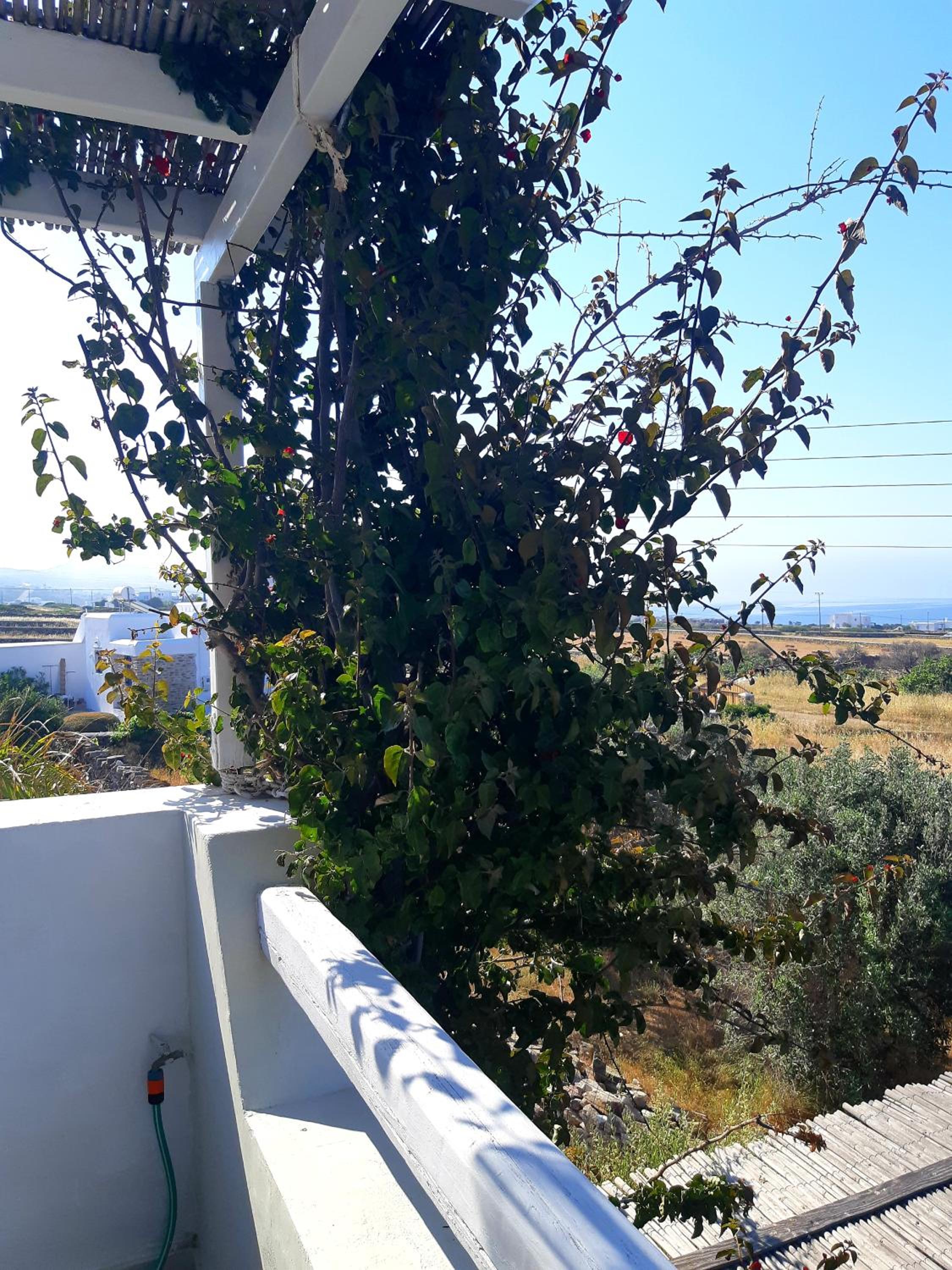 Villa Sofi in Saint George Antiparos (pool&sea)
