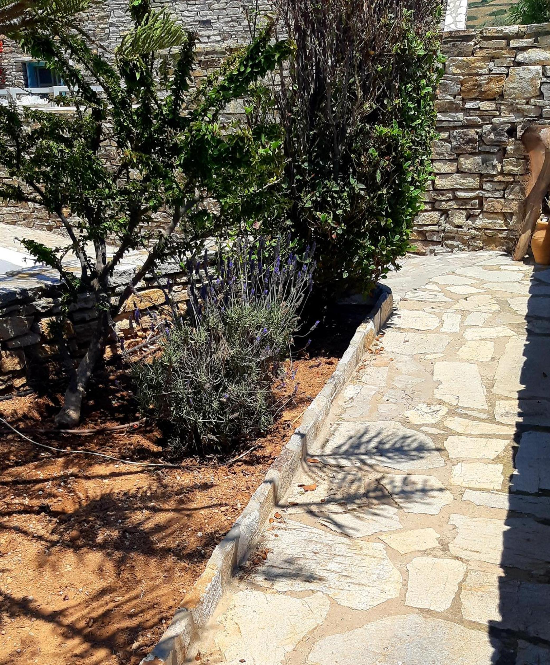 Villa Sofi in Saint George Antiparos (pool&sea)