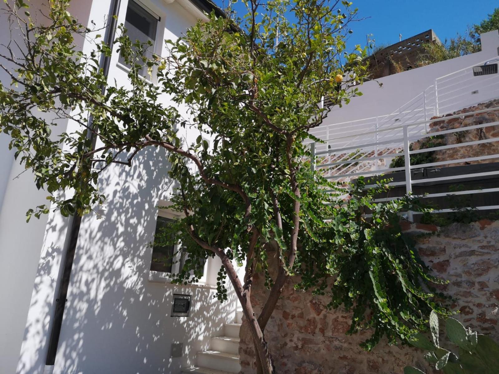 Casa Leone