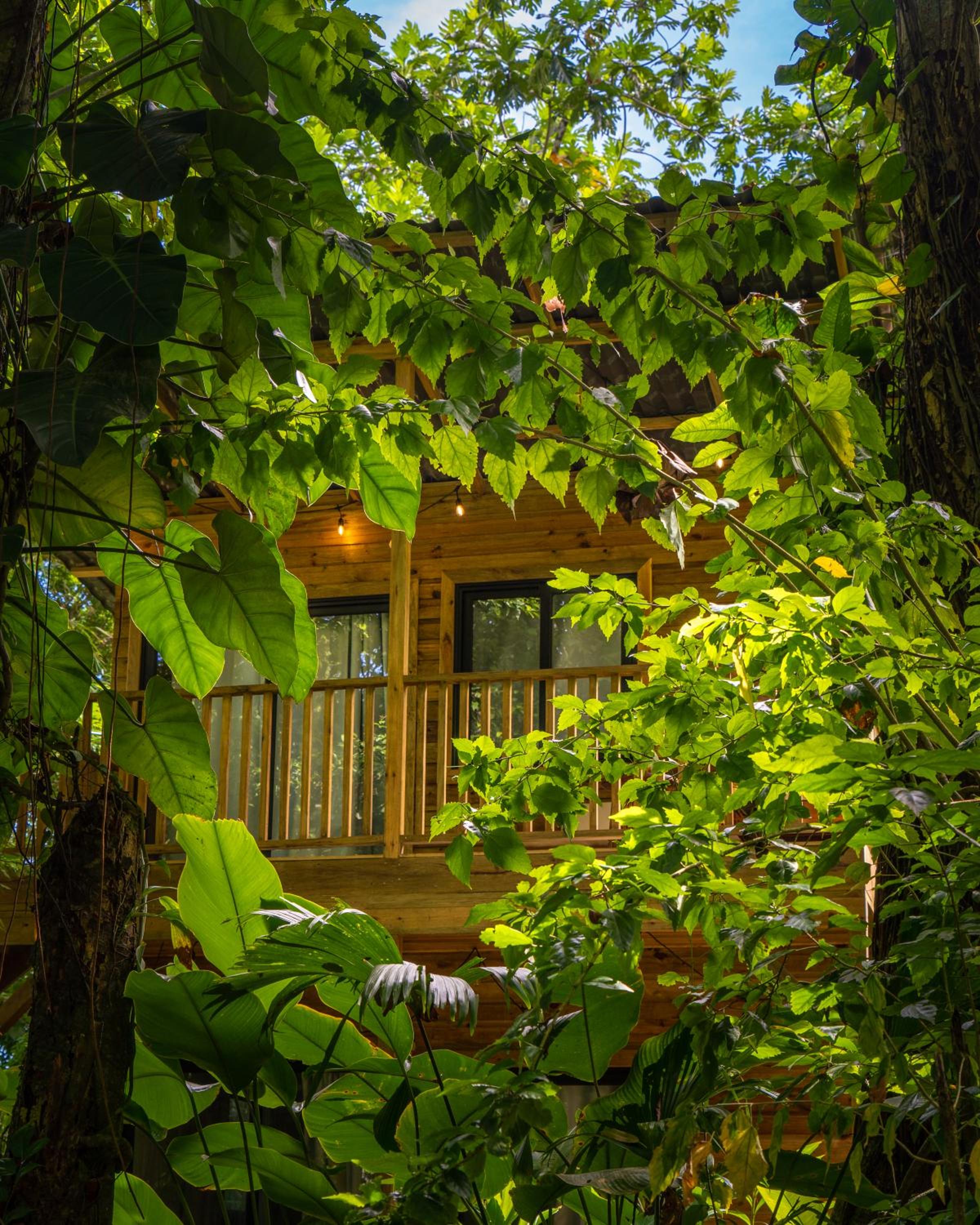 Palmar Beach Lodge