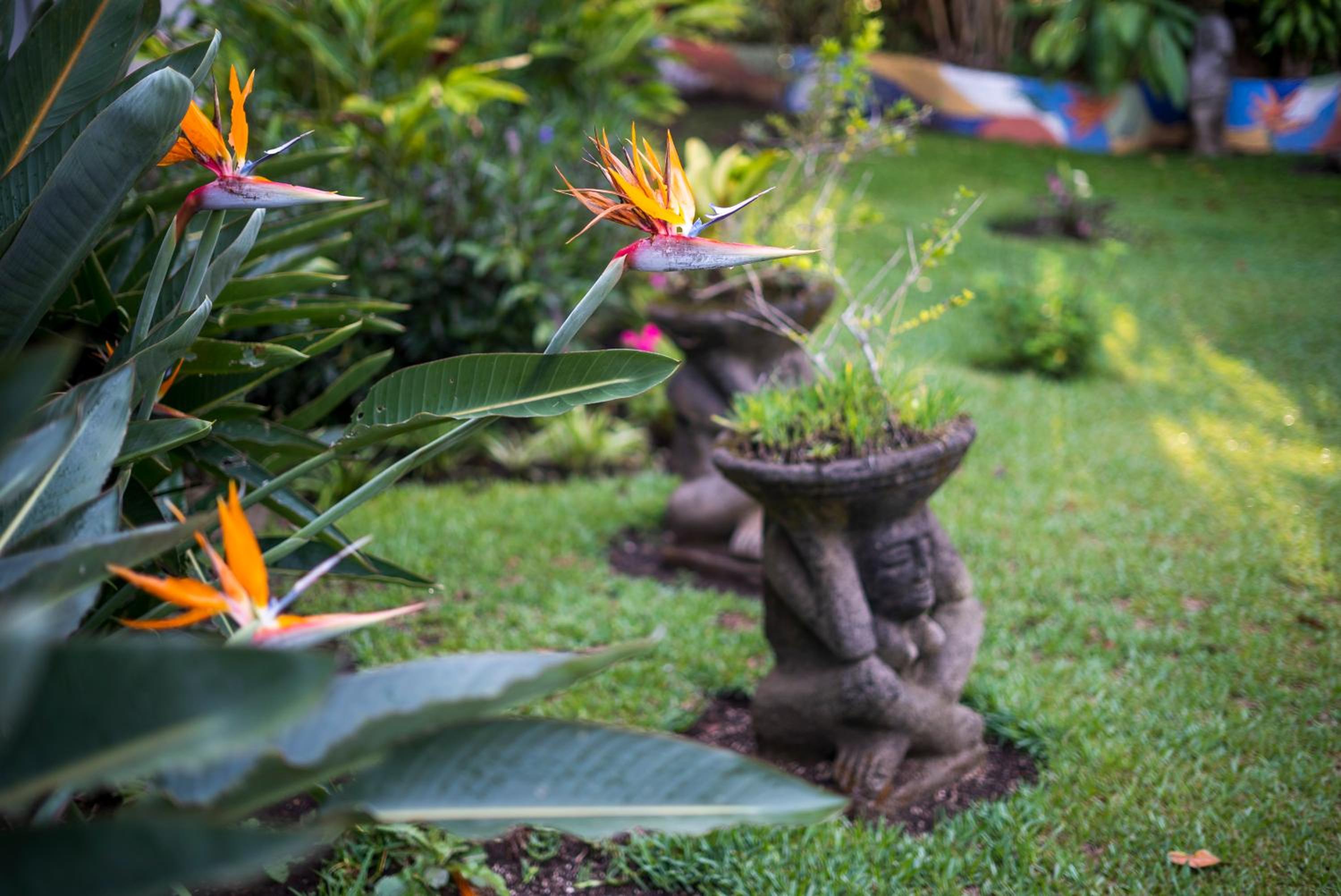 San Jose - Costa Rica Vacations - Hotel Ave del Paraiso - Property Image 7