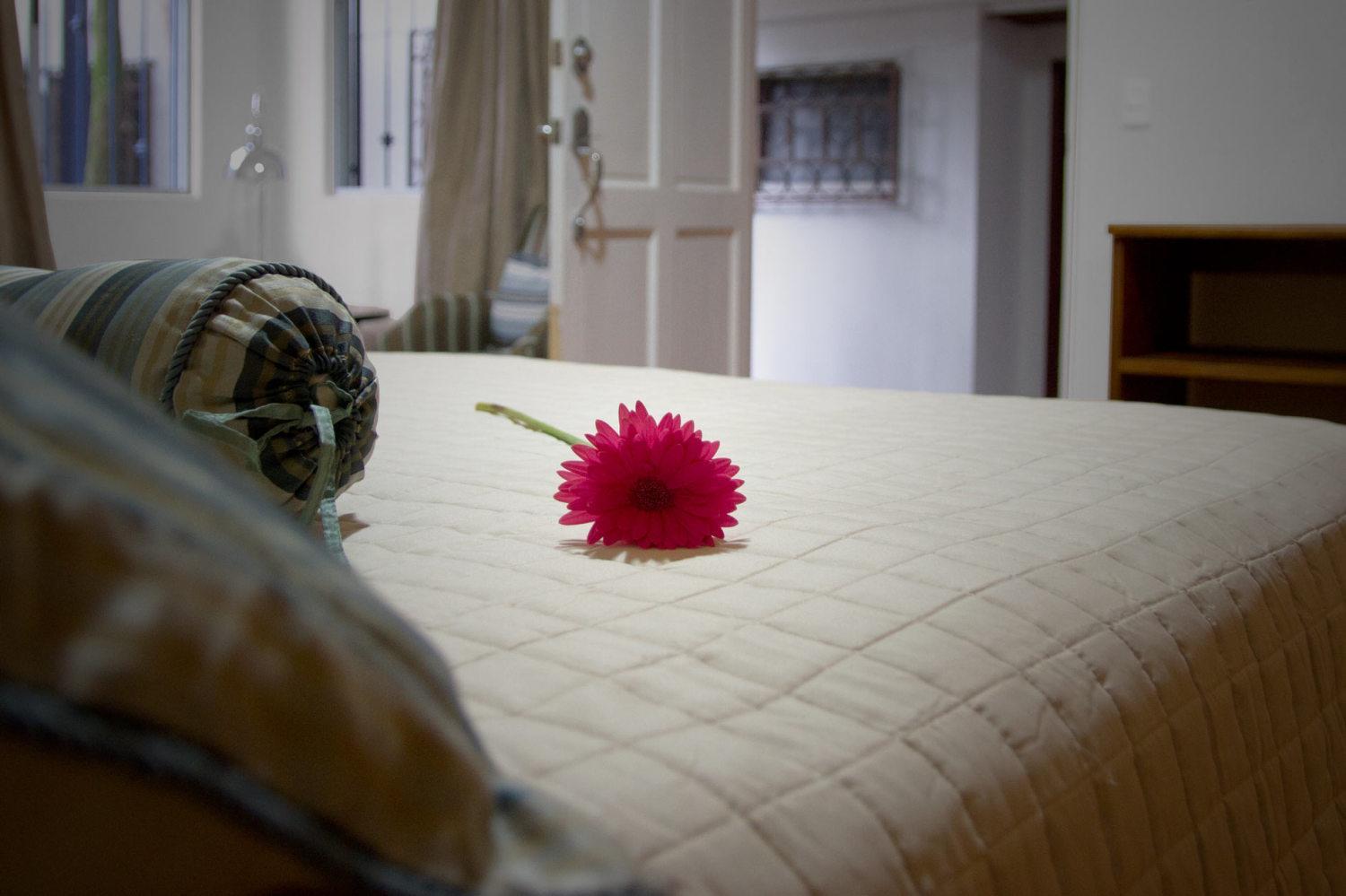 San Jose - Costa Rica Vacations - Hotel Ave del Paraiso - Property Image 33
