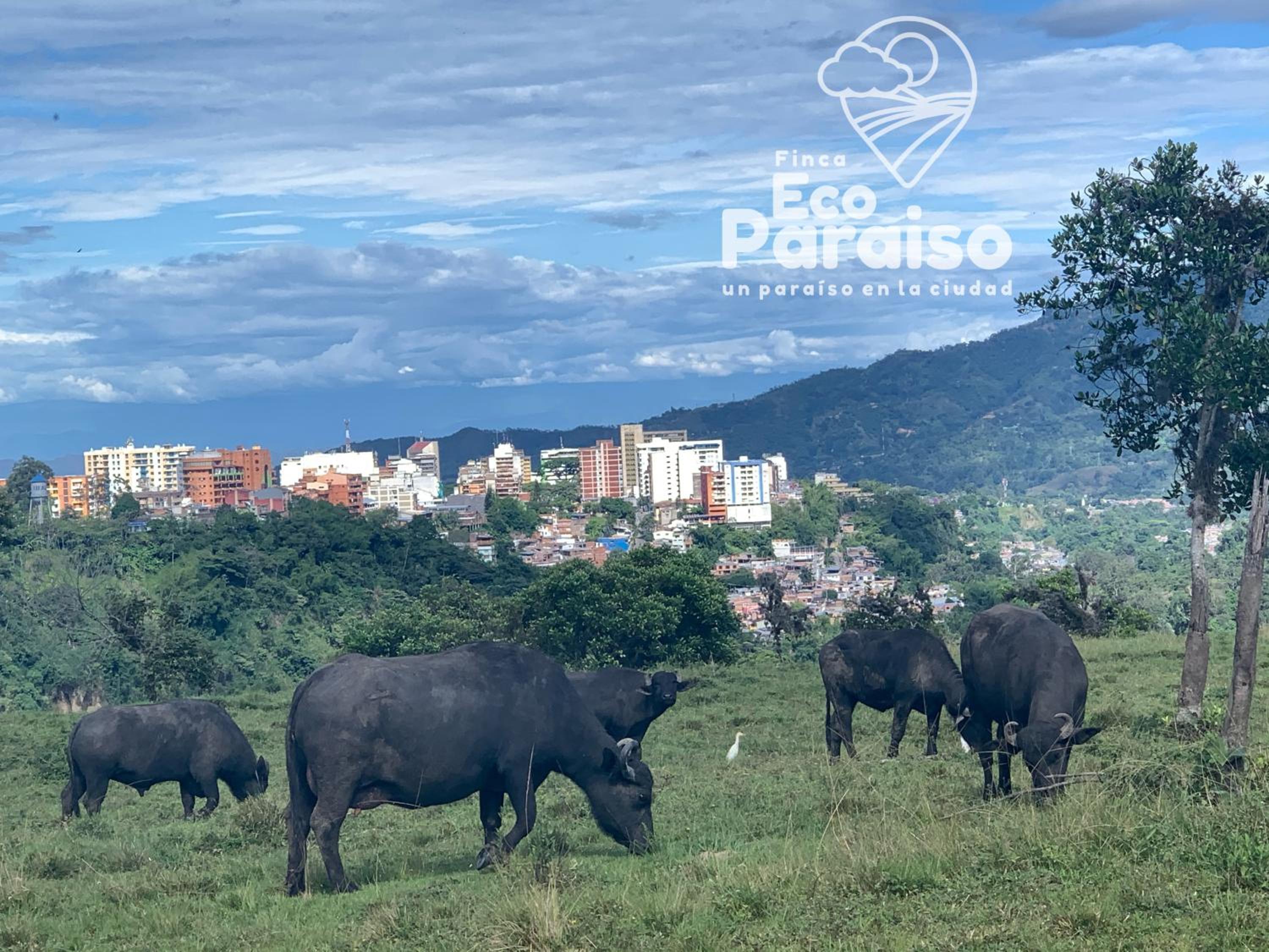 Finca Ecoparaiso