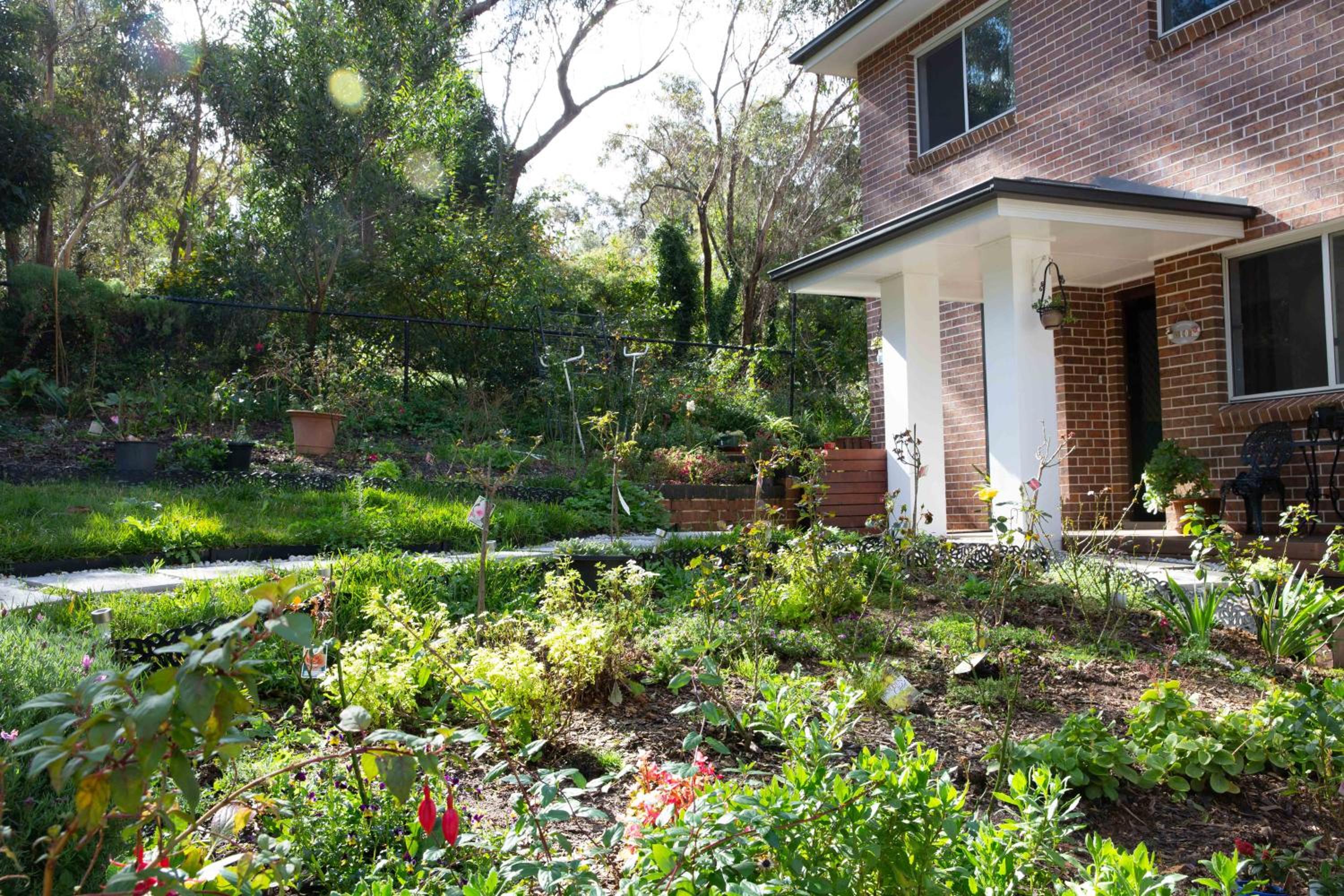 Katoomba Vacations - The roses house - Cozy and Modern house in Katoomba - Property Image 2