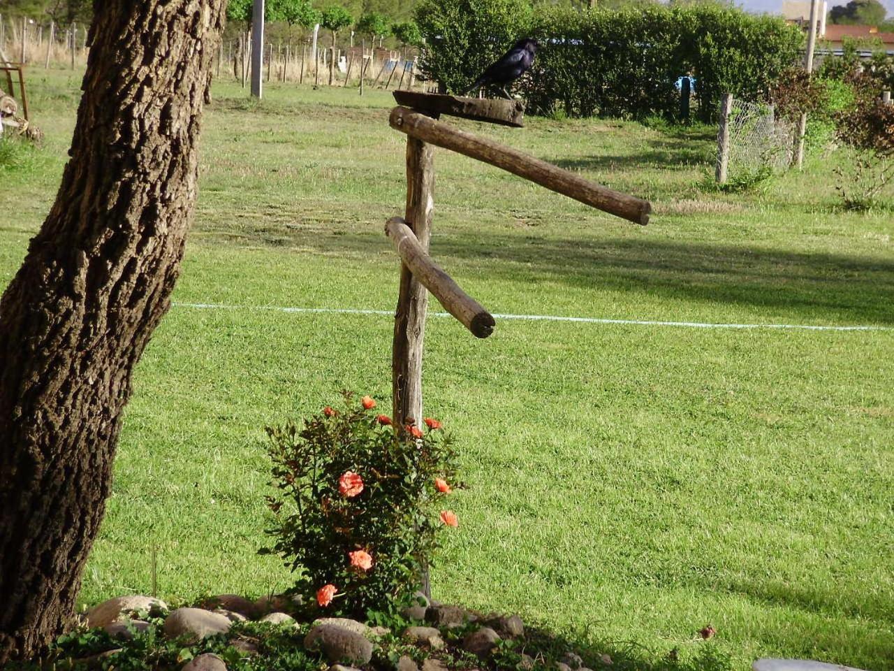 Atahualpa mi Posada