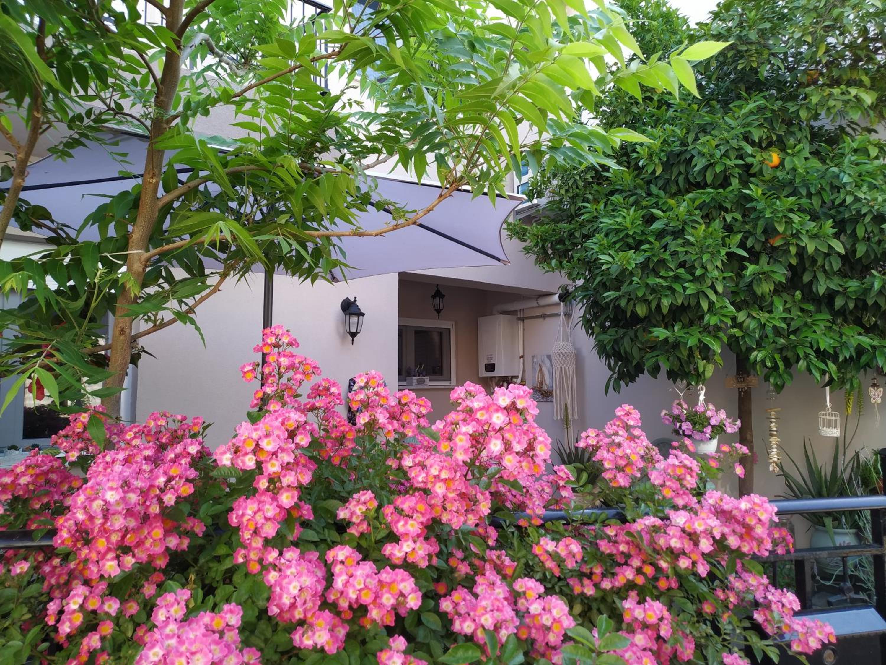 Photo 19