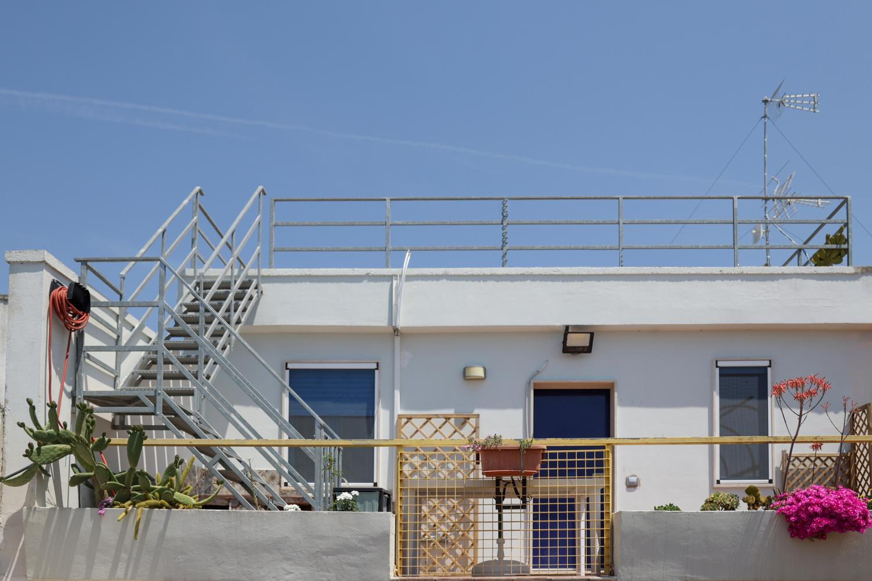 roof
