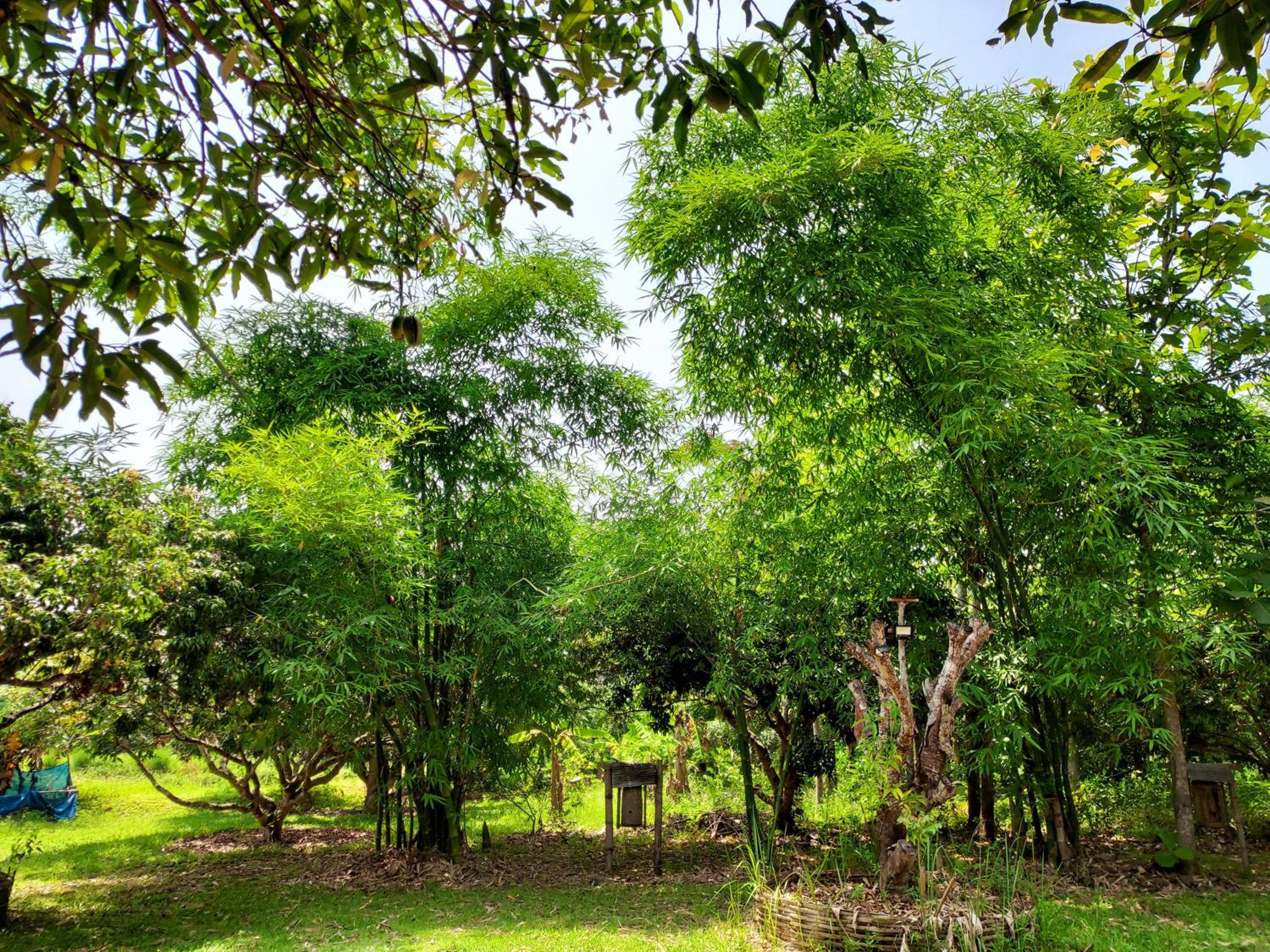 Aum Hum Homestay