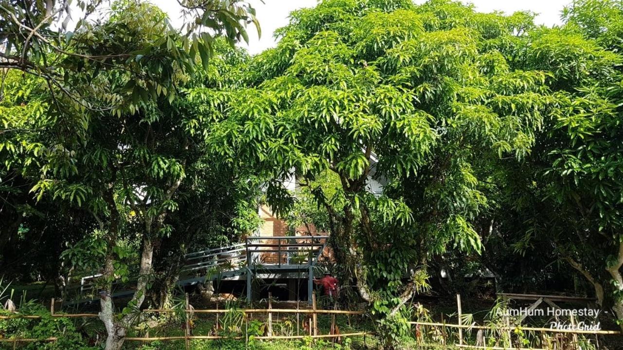 Aum Hum Homestay