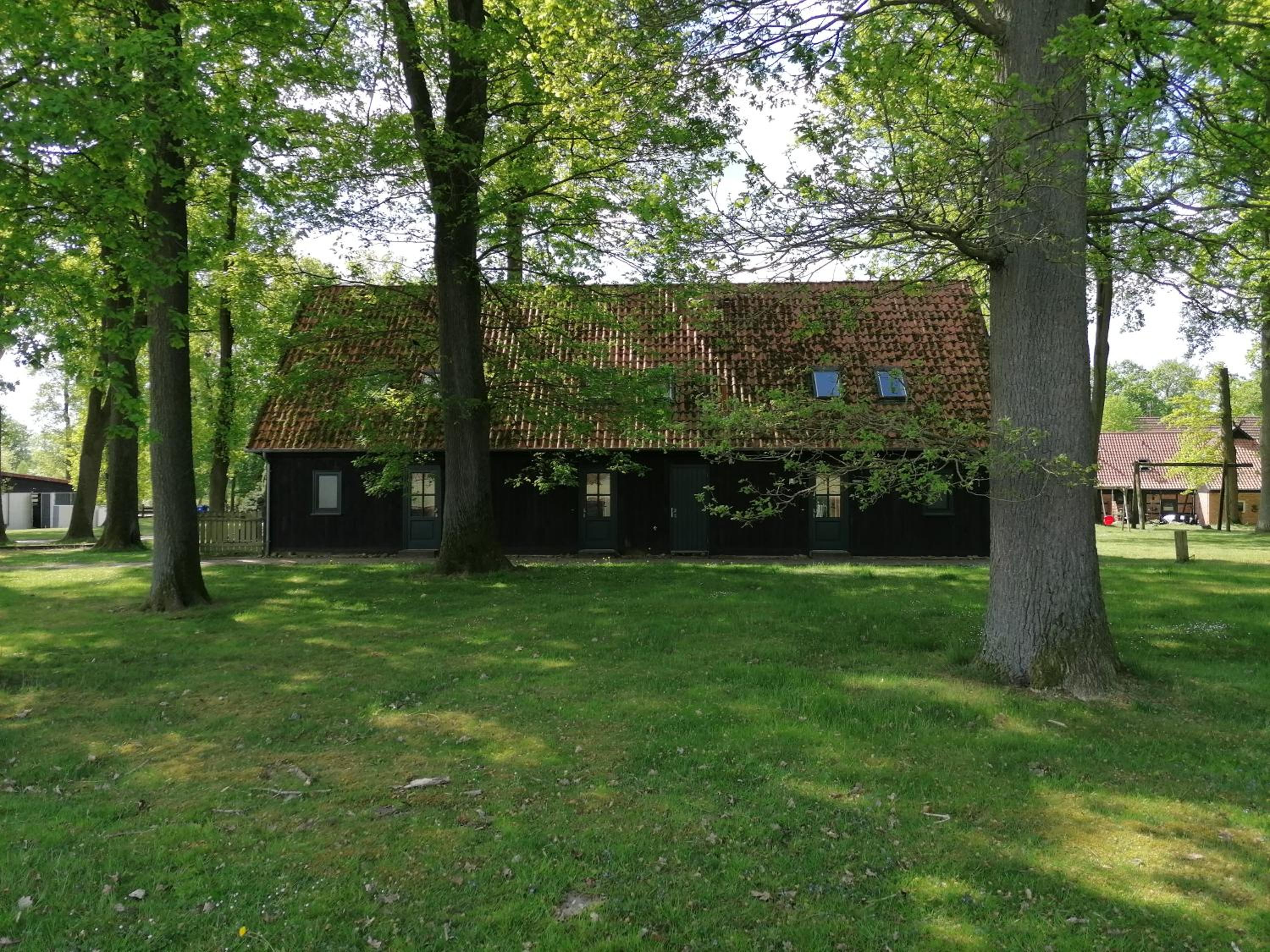 Photo 24