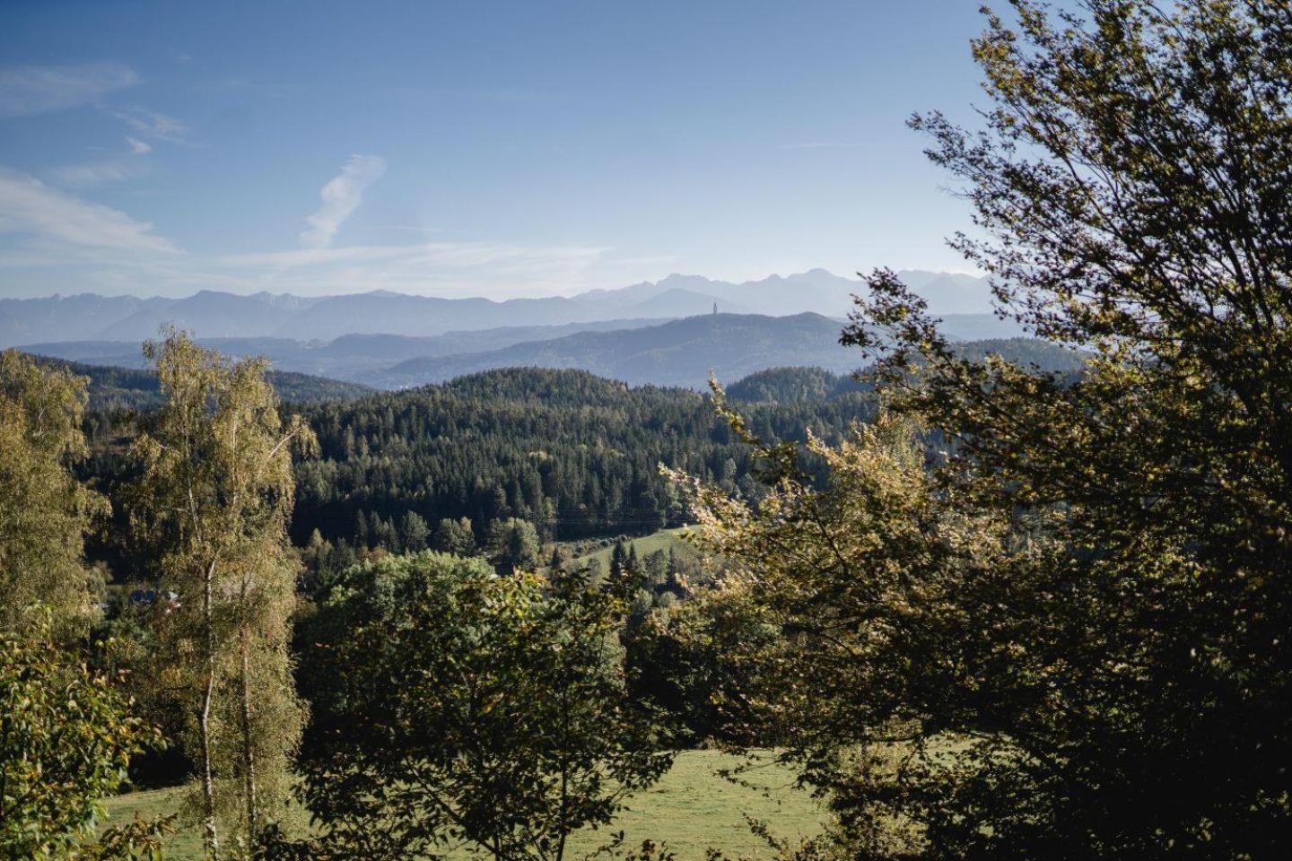Almchalet bei Pörtschach view 3
