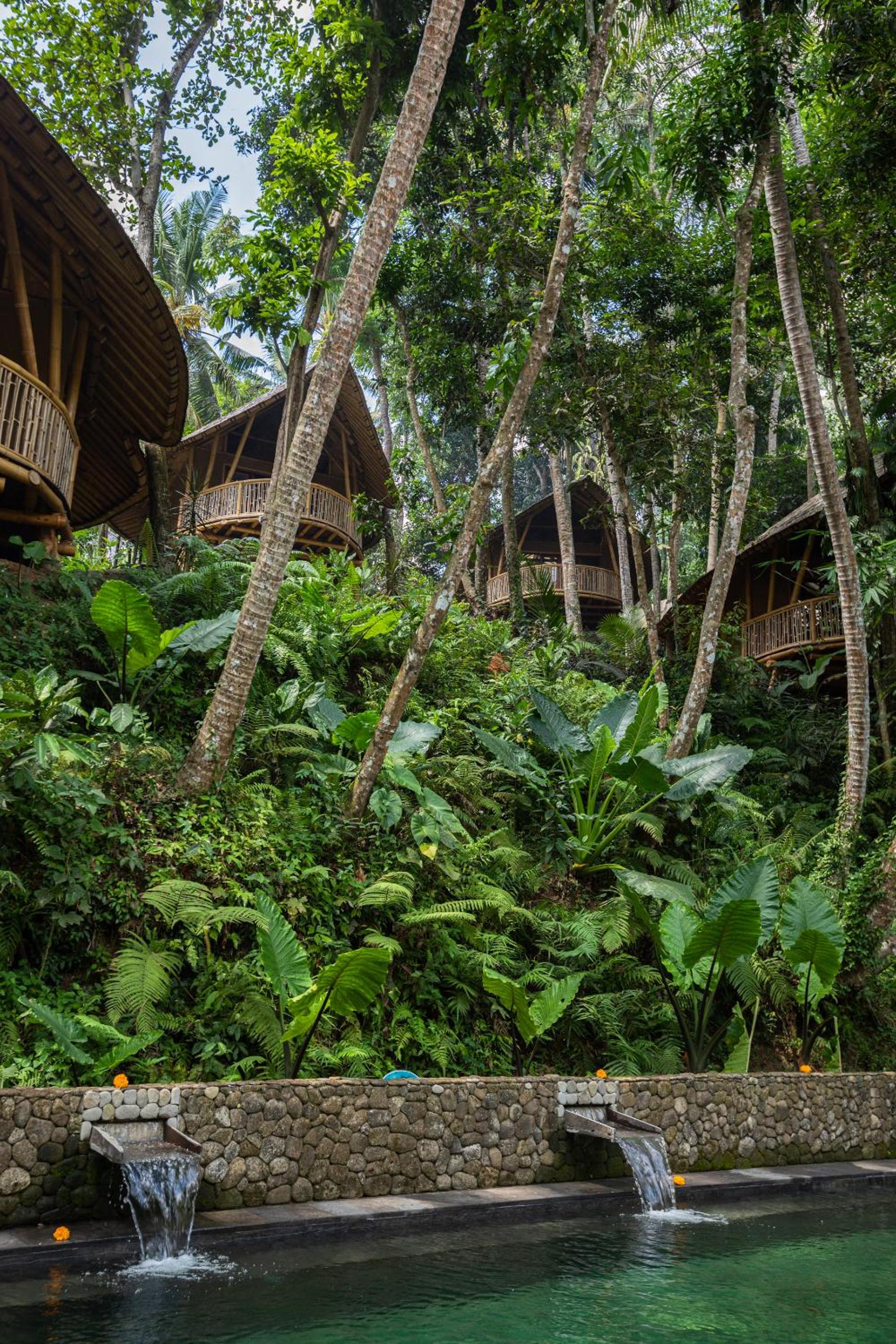 Bamboo Turtles Ecolodge