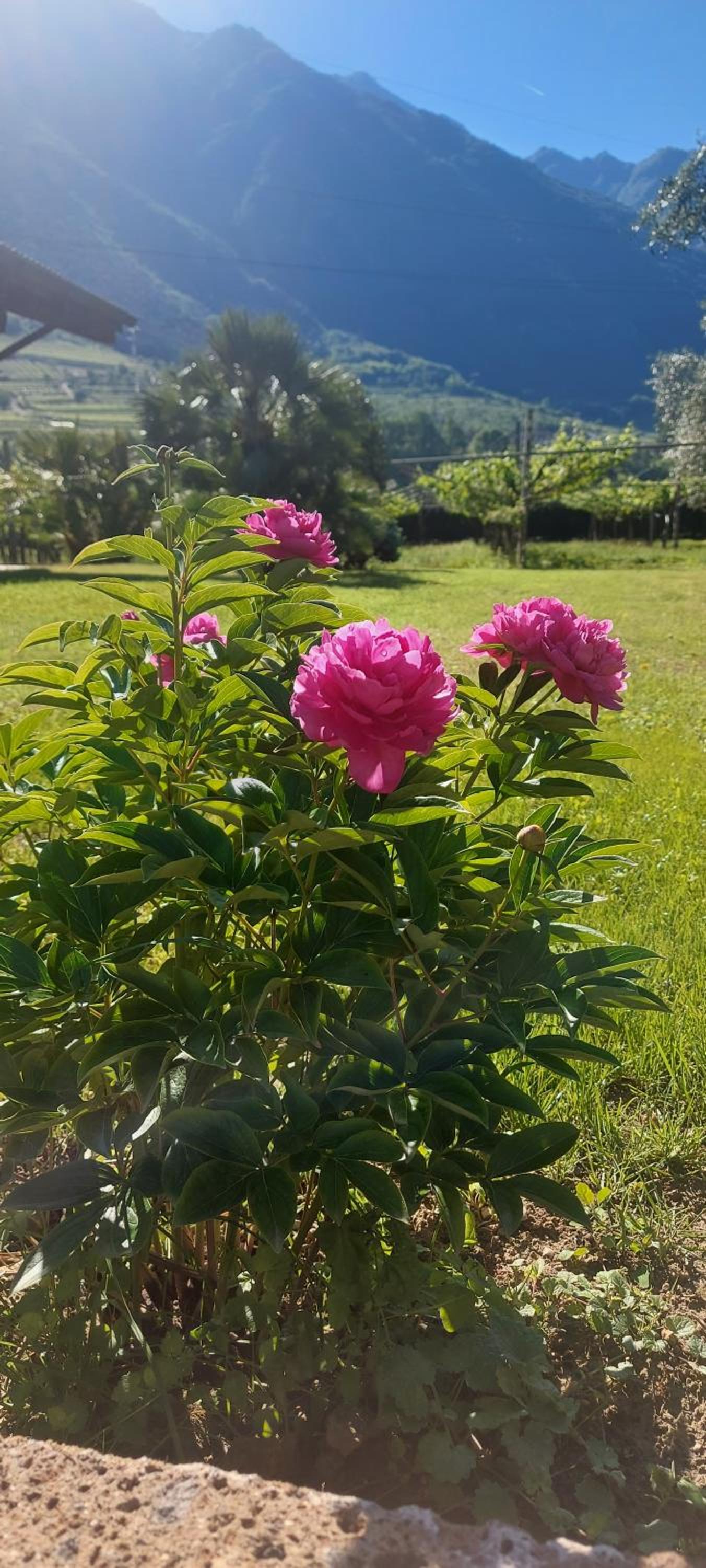 Relais diVINO