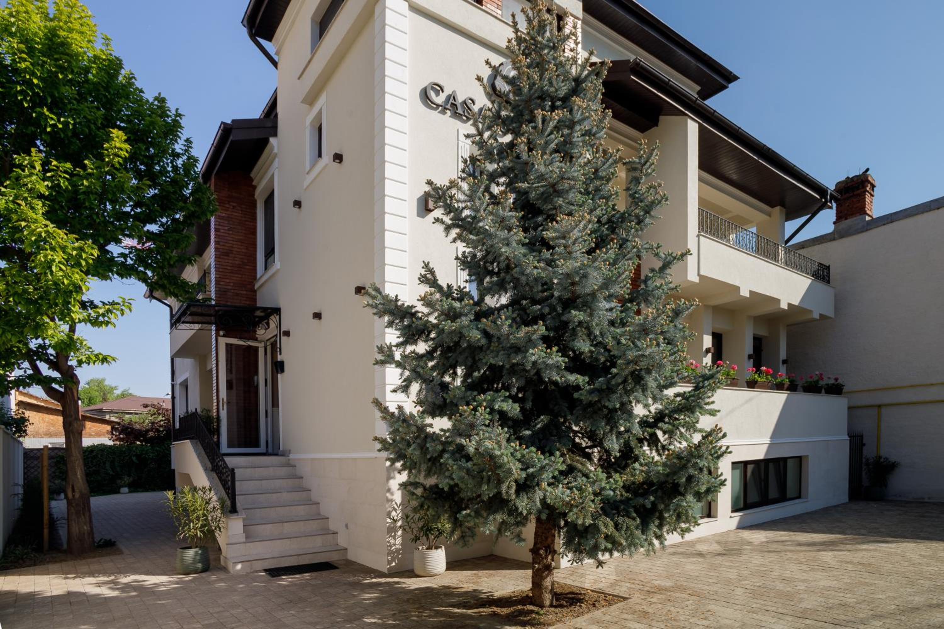 Pensiunea Casa Sturza view 2
