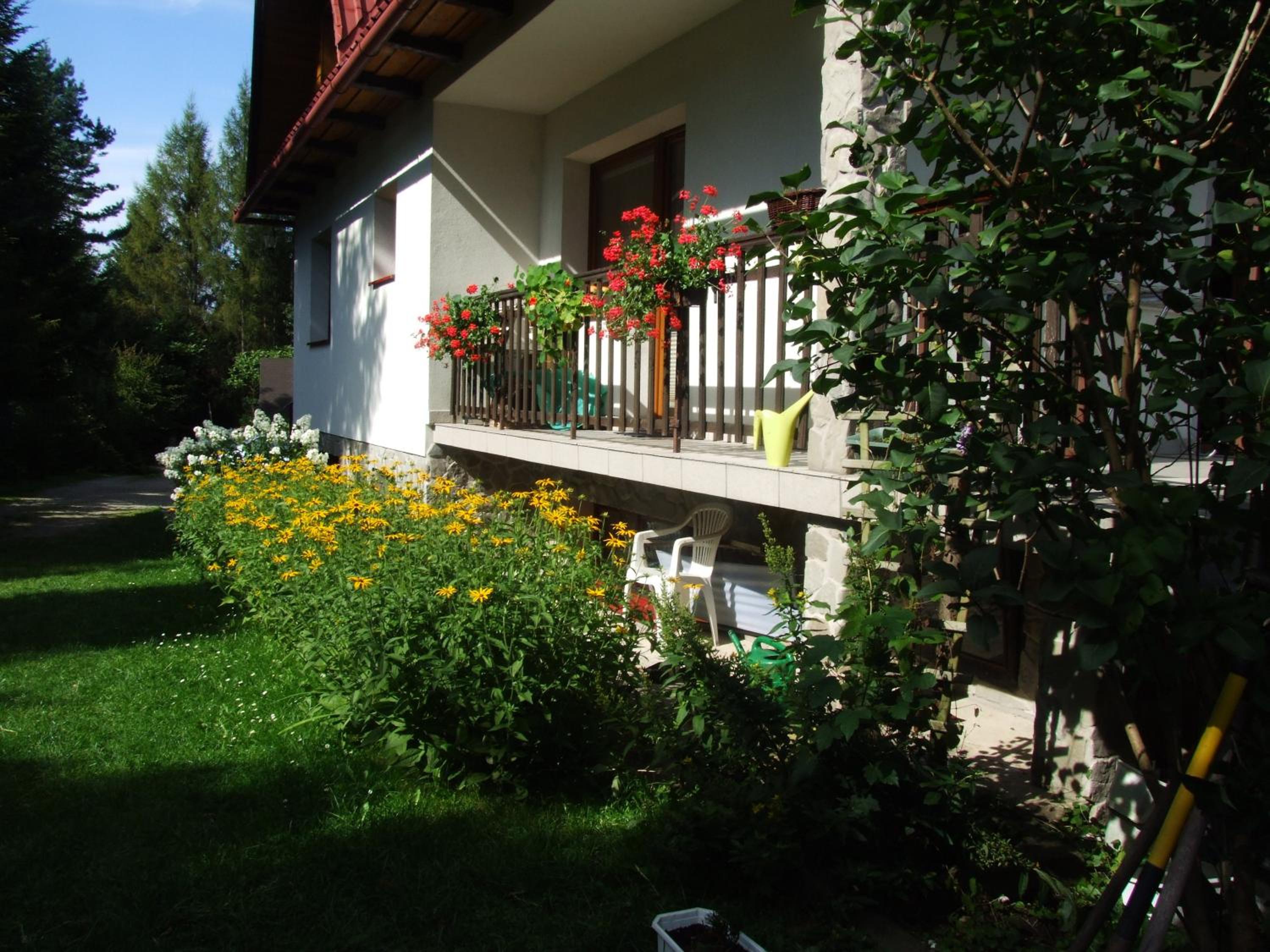Photo 54