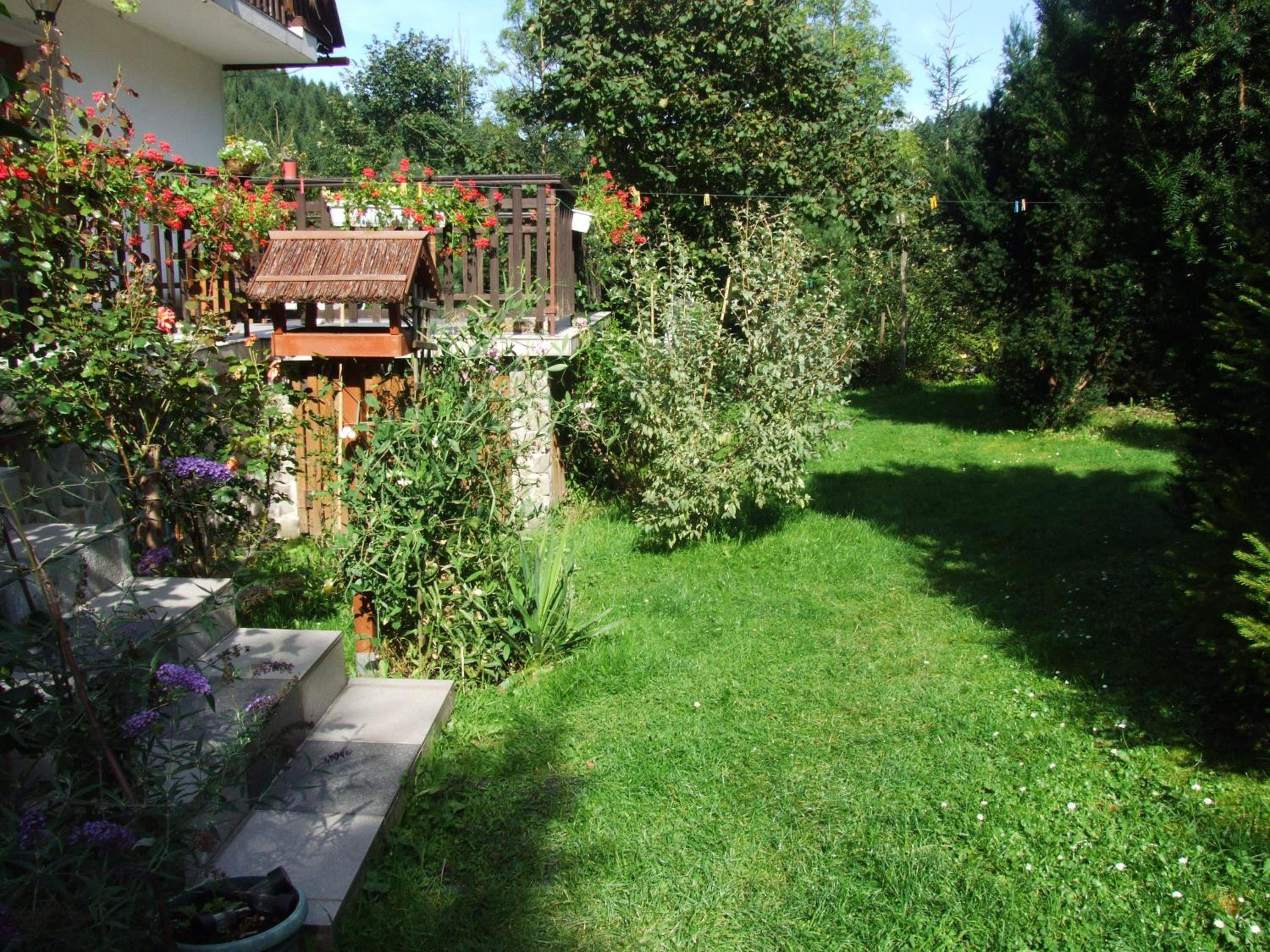 Photo 62