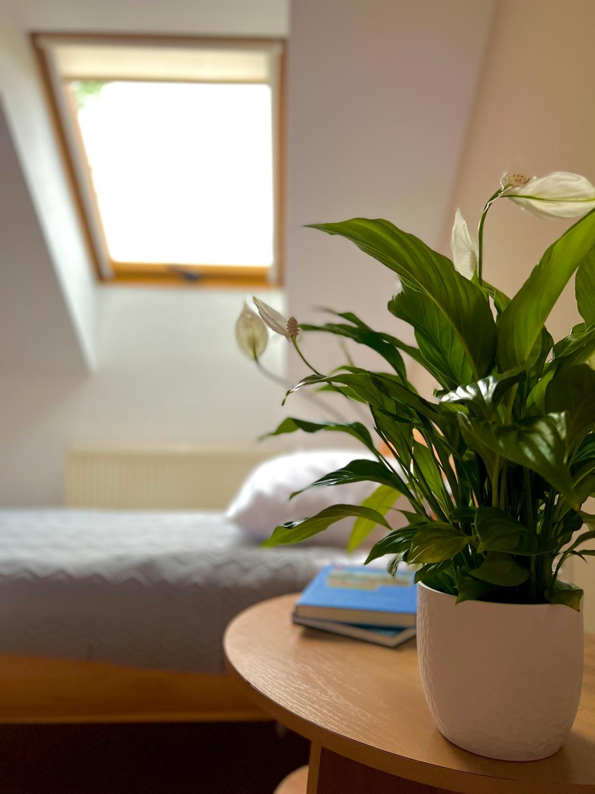 Hotel Marislav