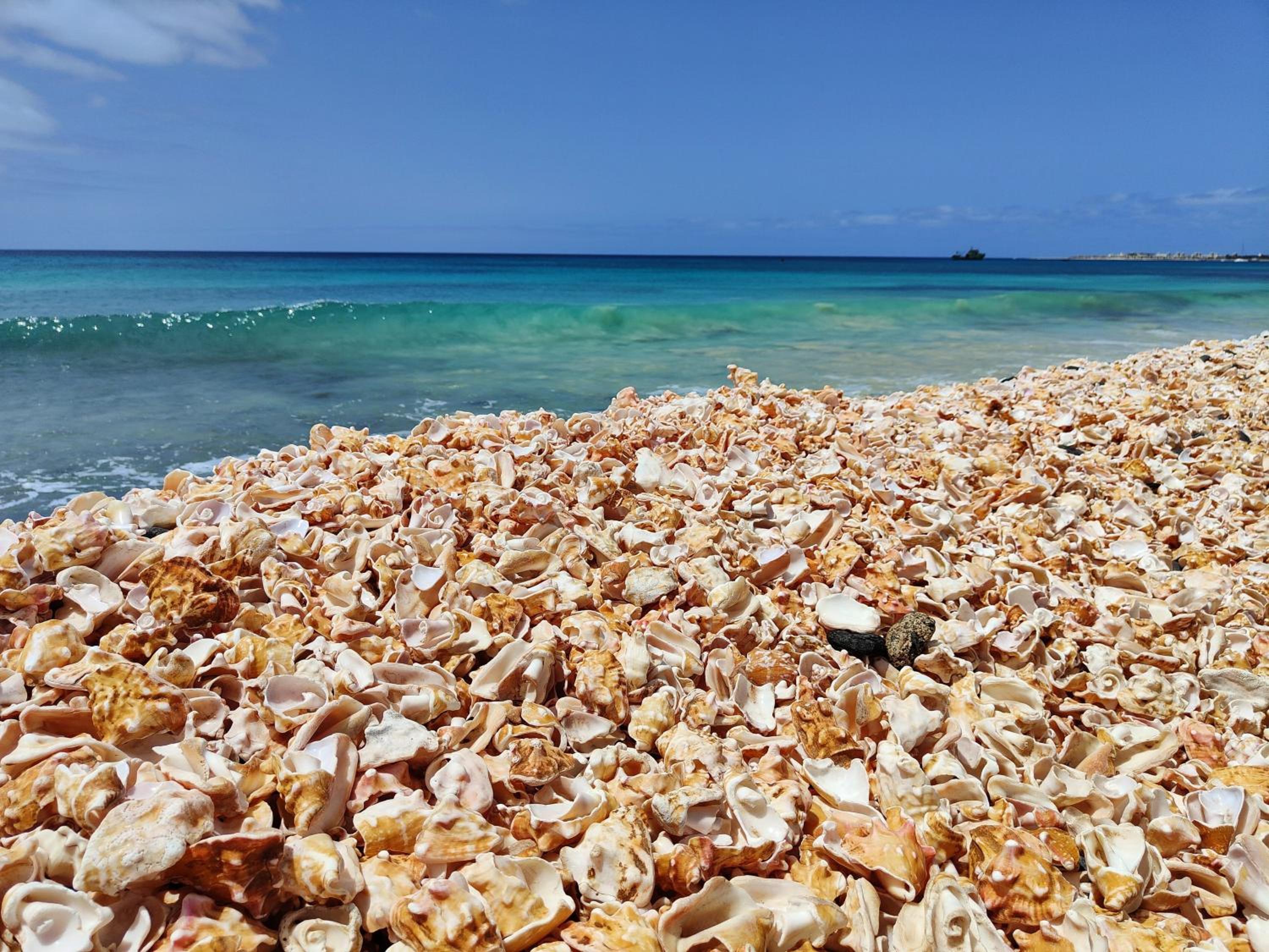 Albis Harena - Ibiscus Attico Ocean View