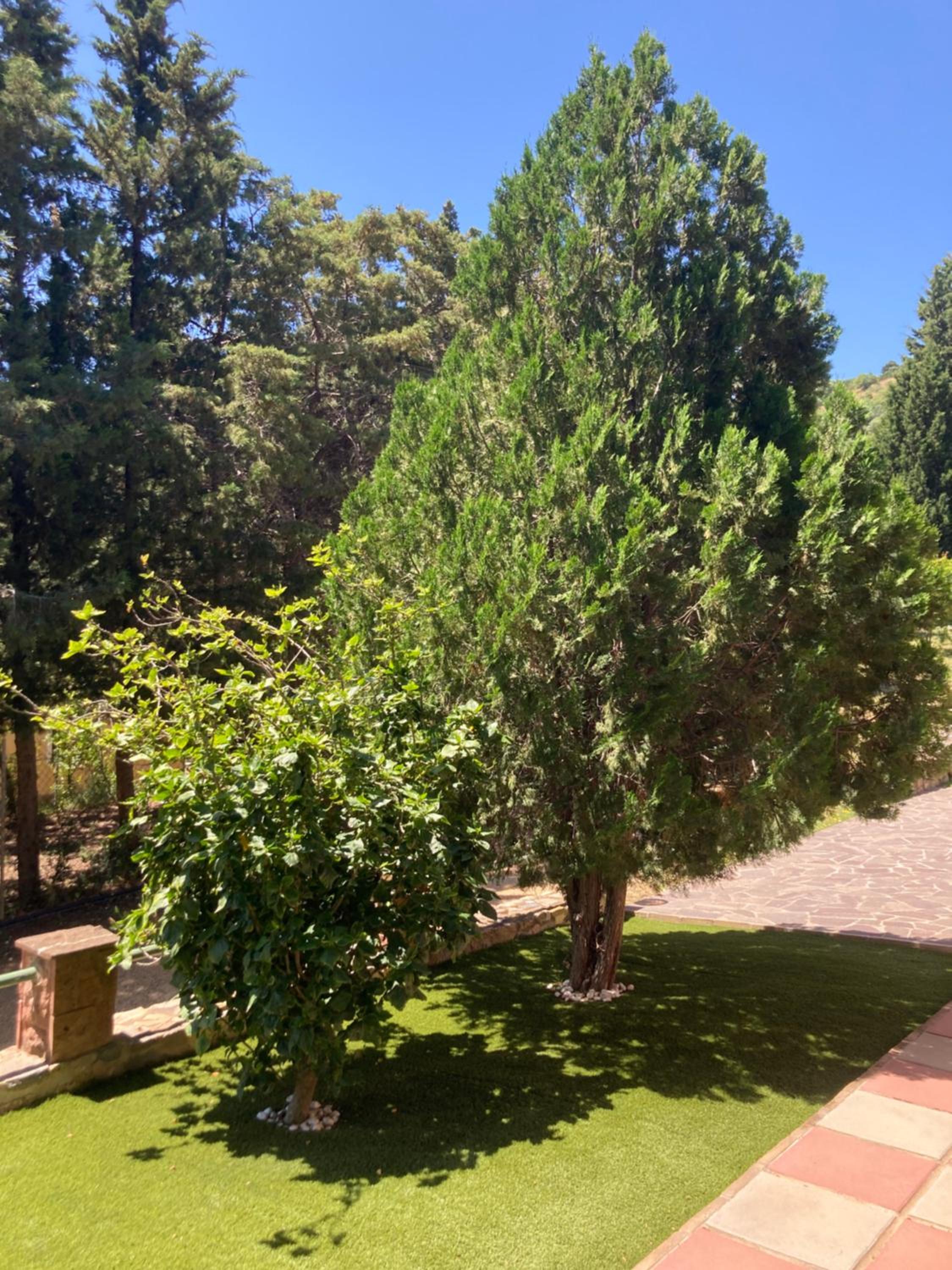 Villa Lidia per una vacanza di relax view 3