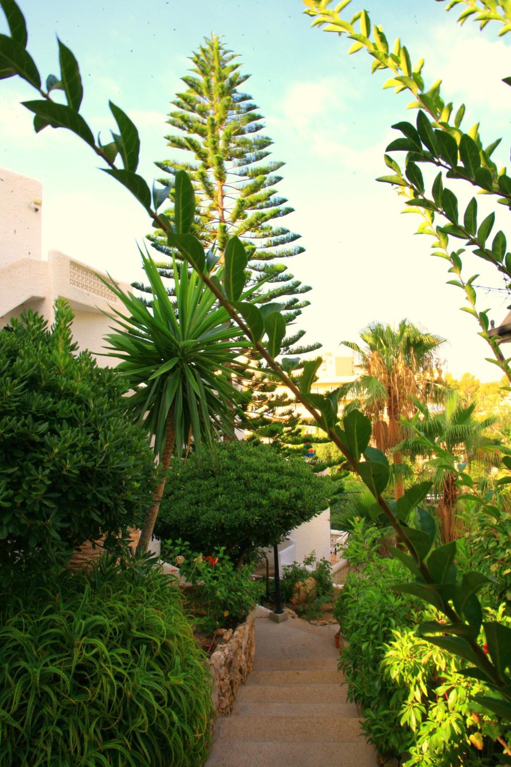 Photo 40