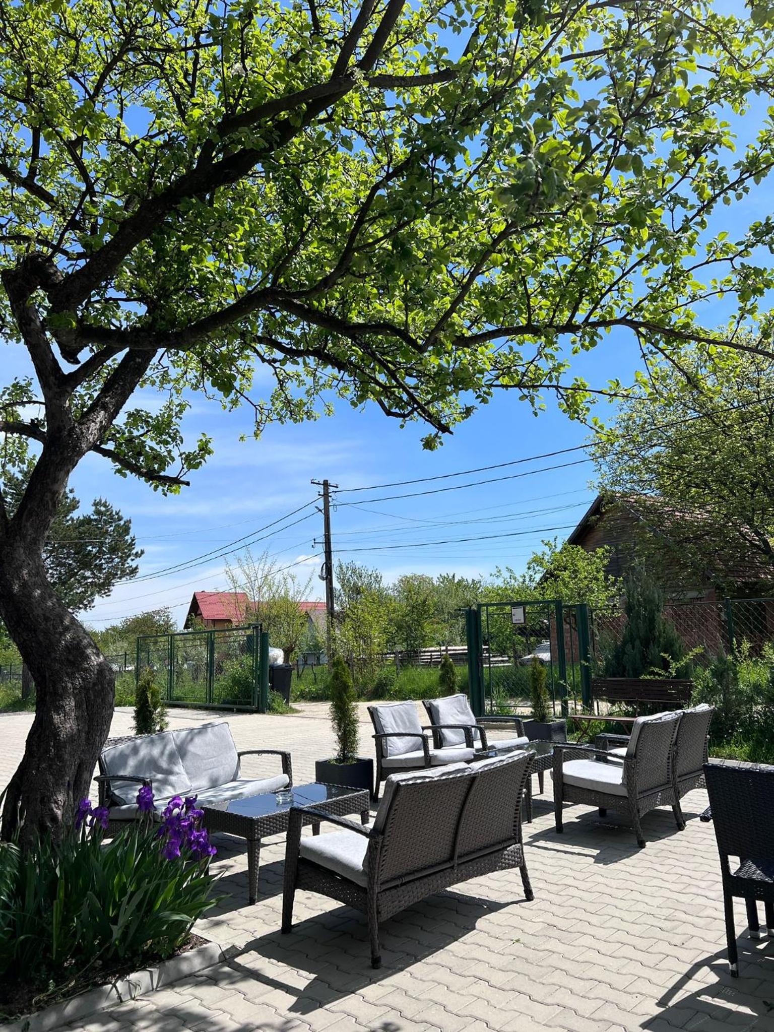 Casa Cenţiu, photo 70