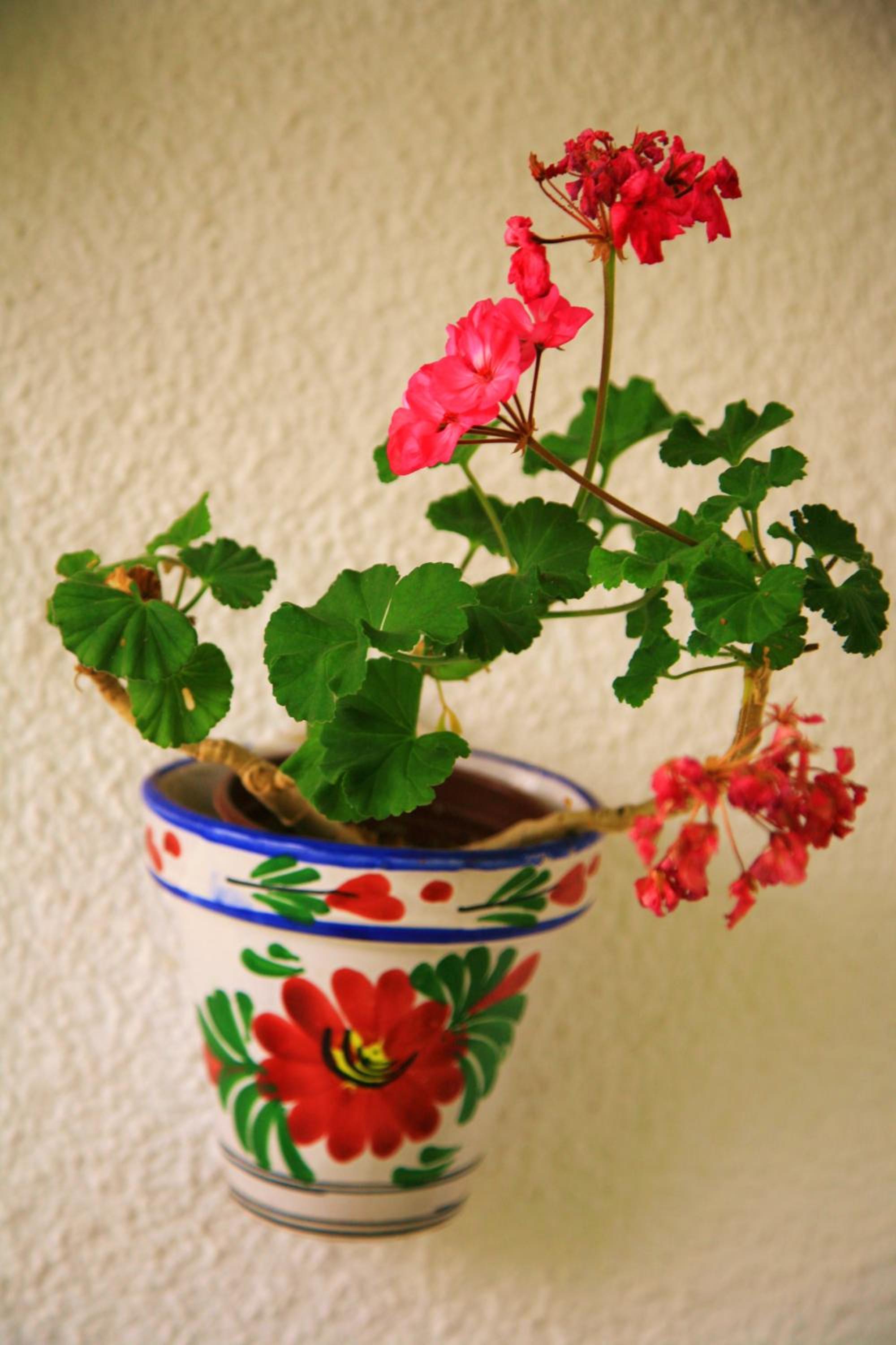 Photo 32