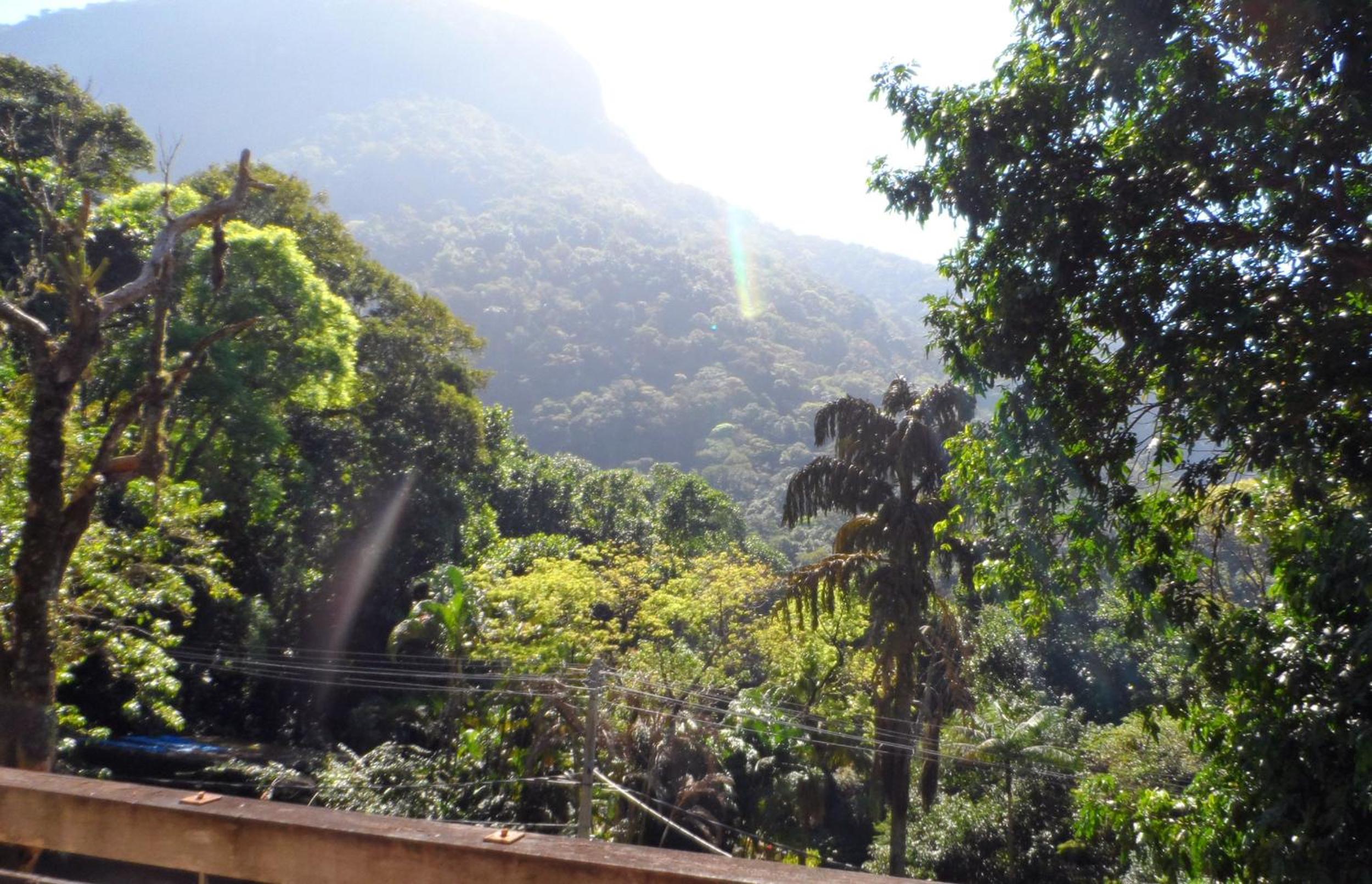Casa Verde Río