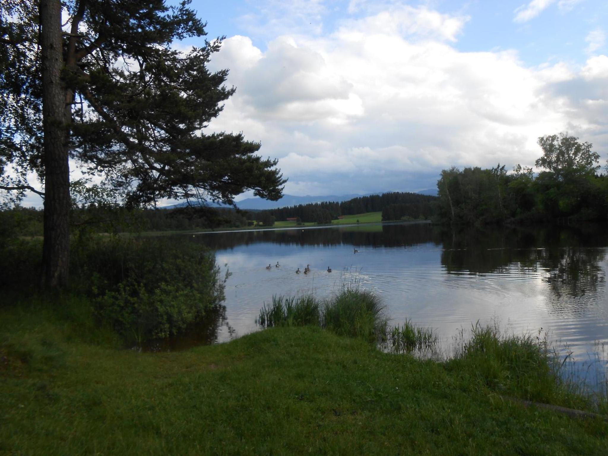Ferienwohnung Huber am Deutensee view 3