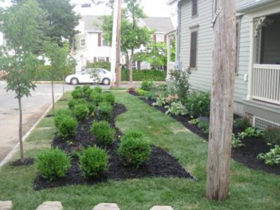 Photo 8