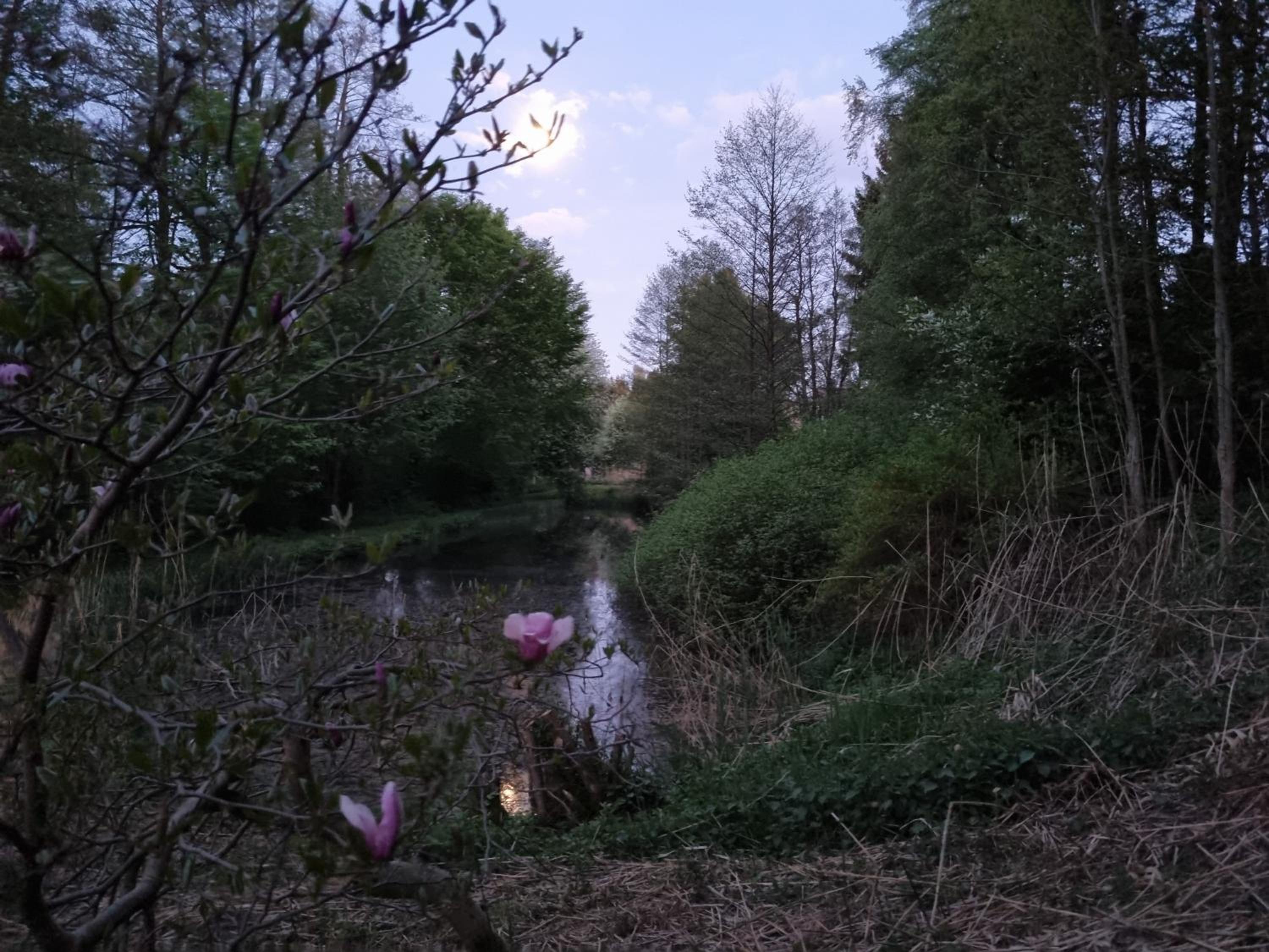 Photo 32