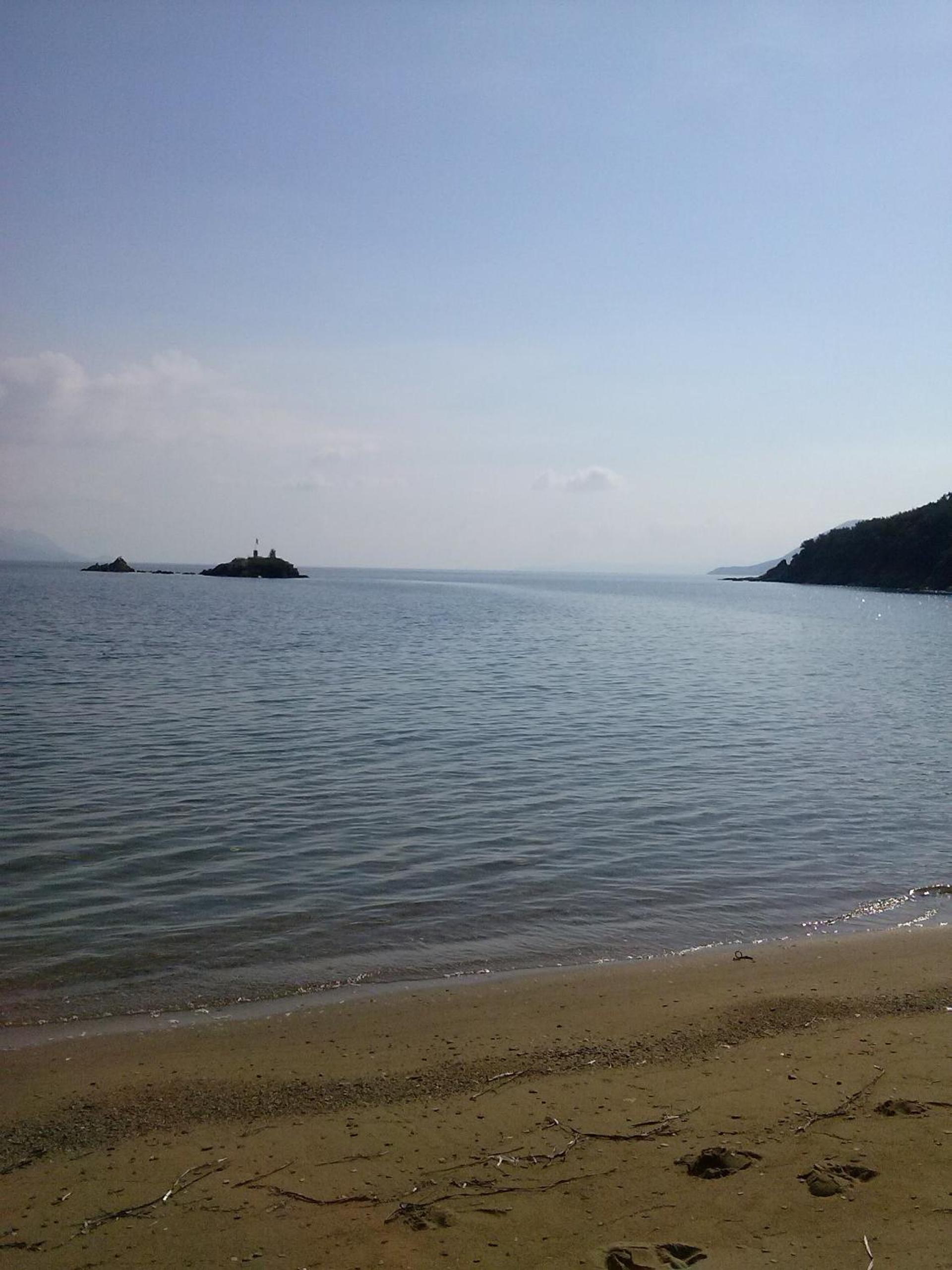 Theoxenia