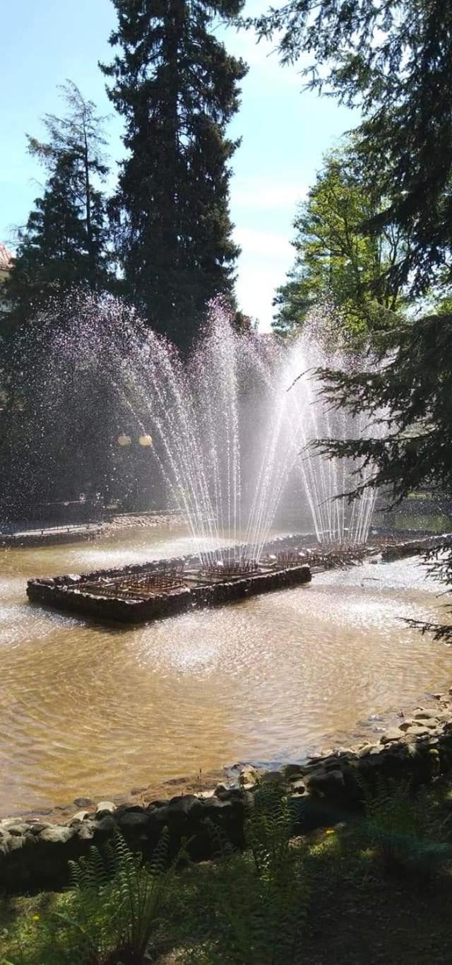 Photo 32