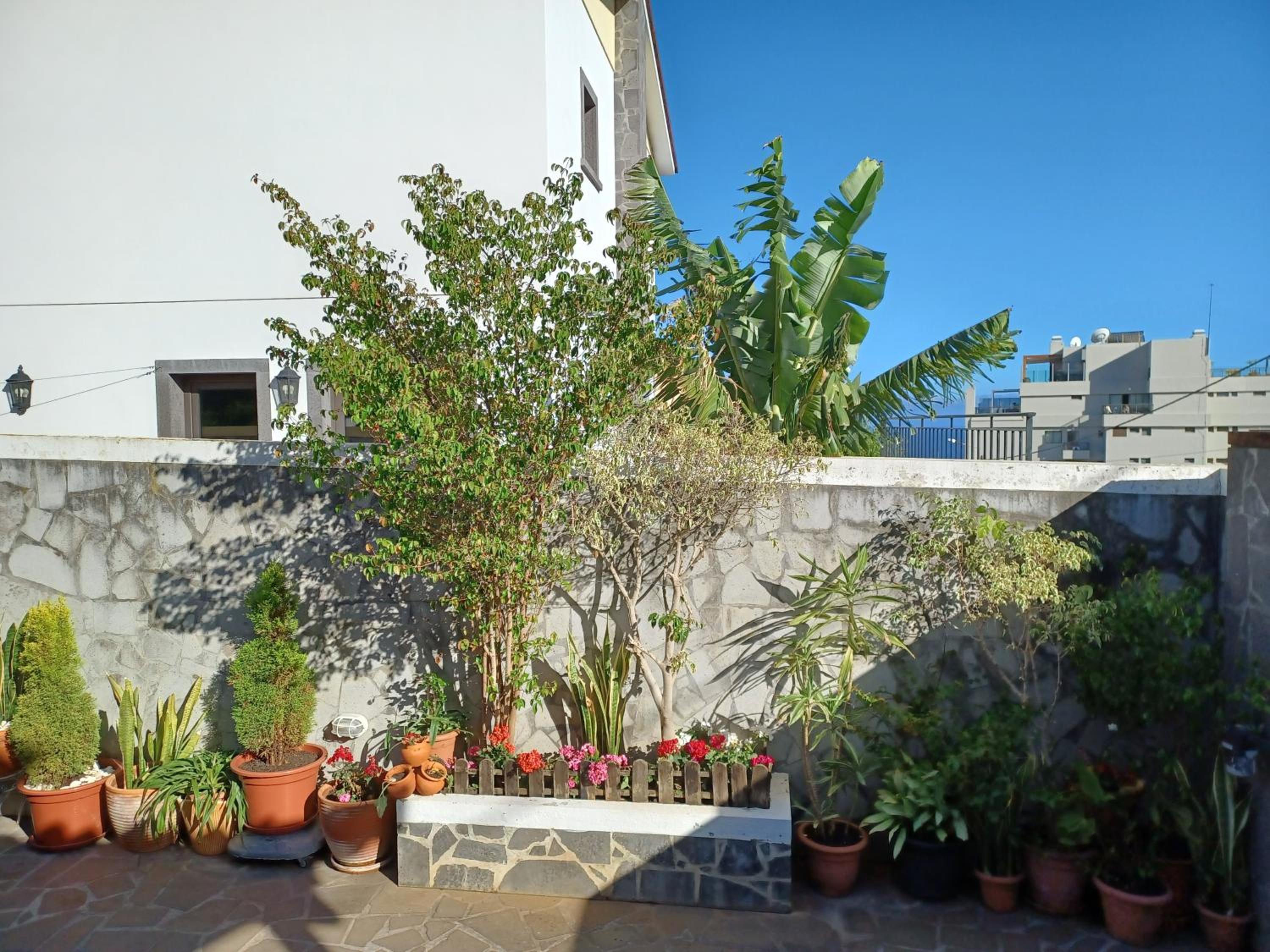 A House near CR7 Museum Madeira
