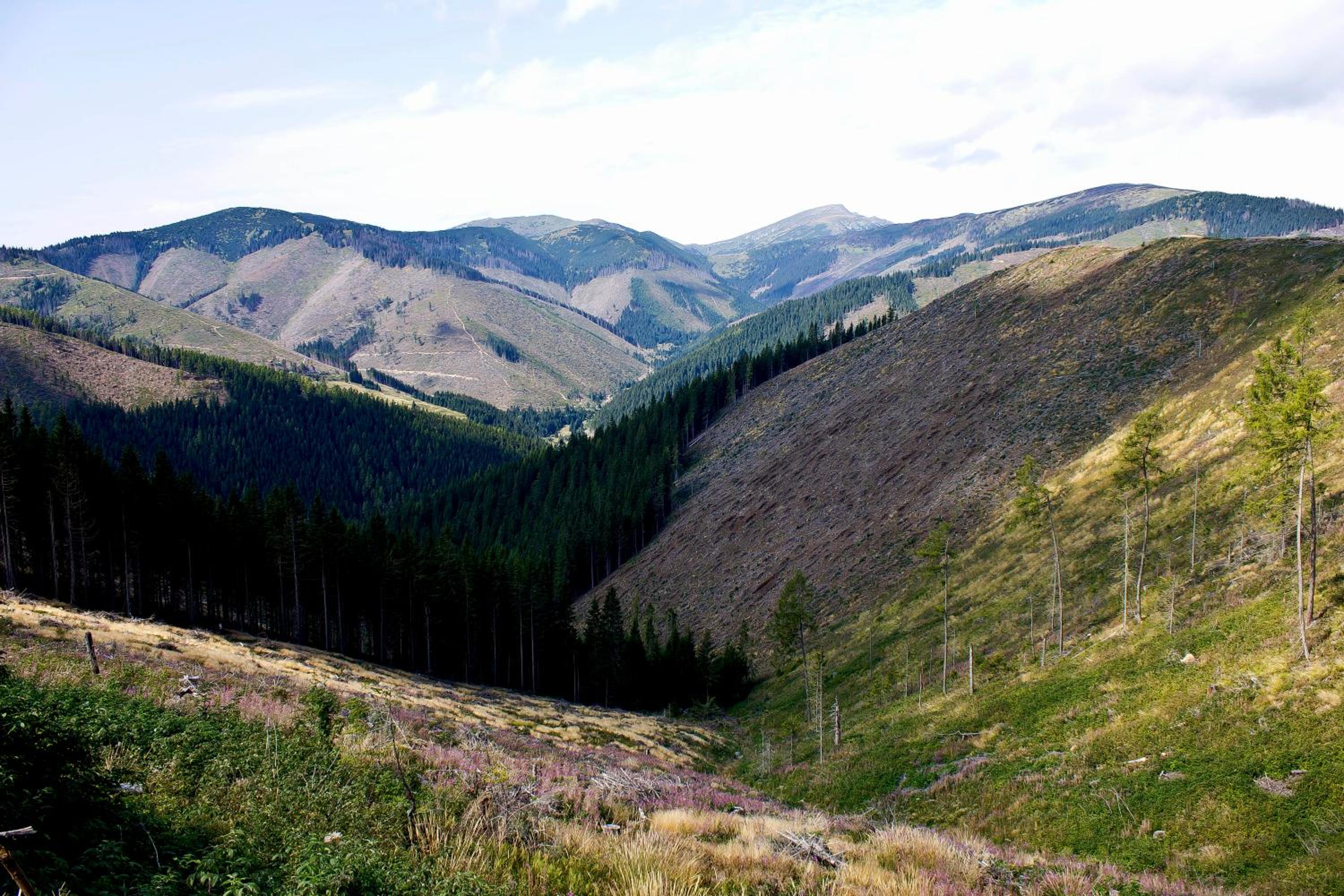 Photo 44