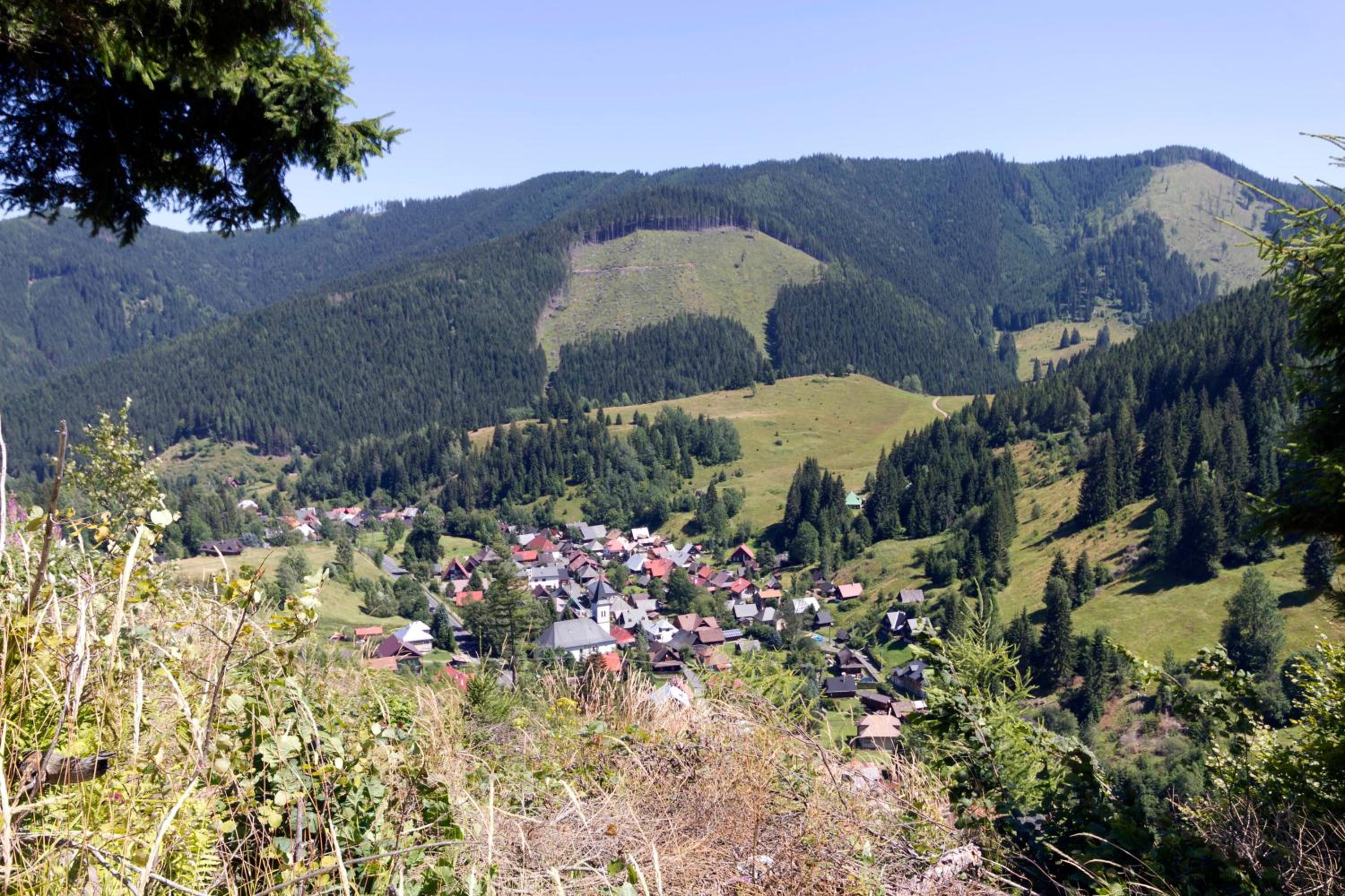 Photo 47