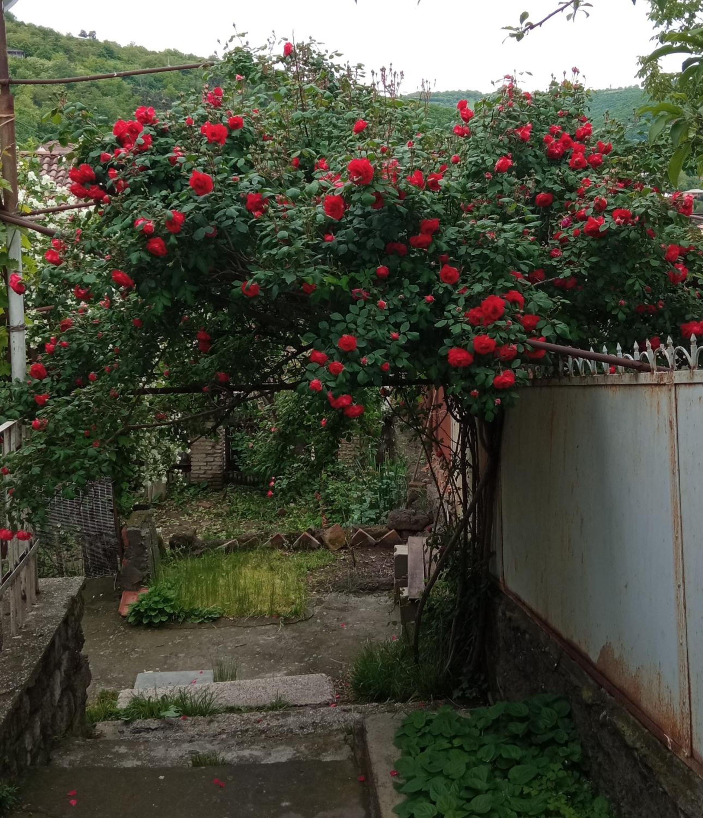Photo 32