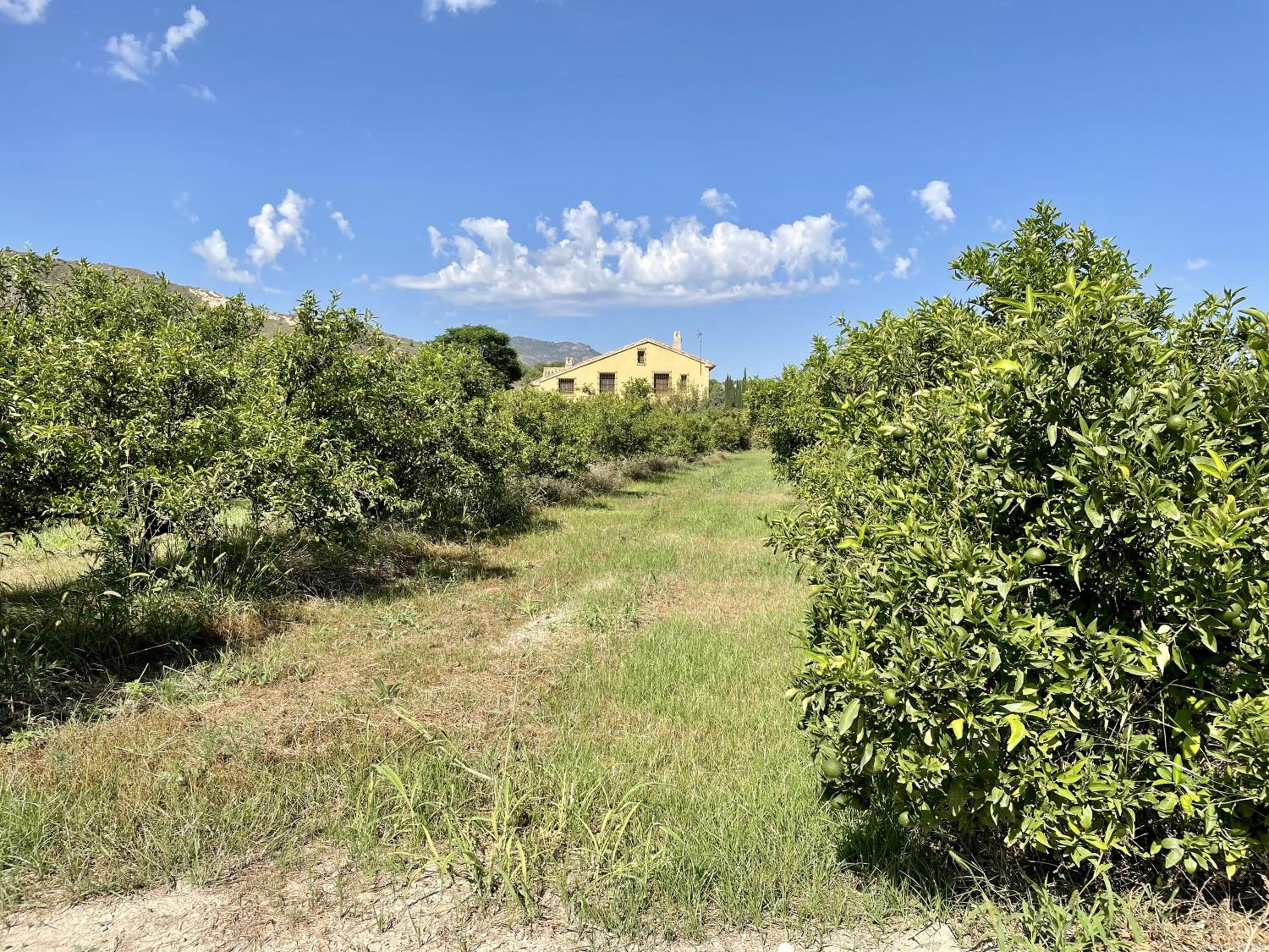 Casas Amarillas. Finca el Campillo