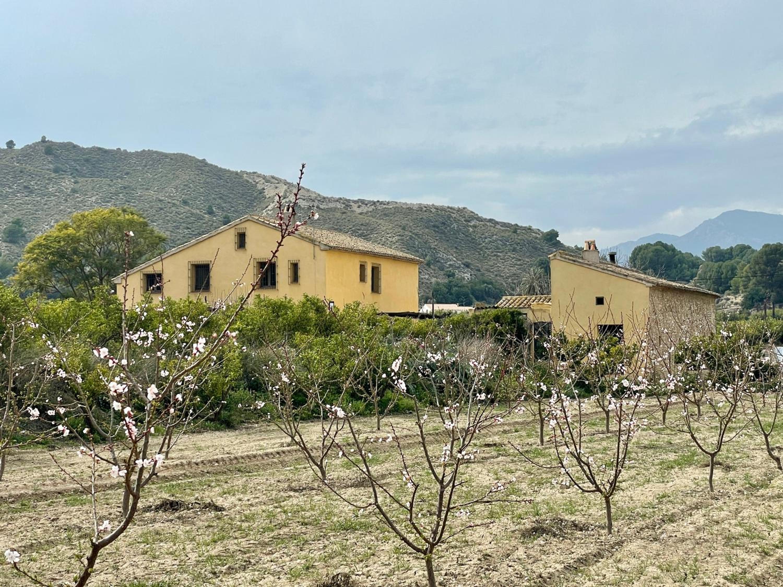 Casas Amarillas. Finca el Campillo