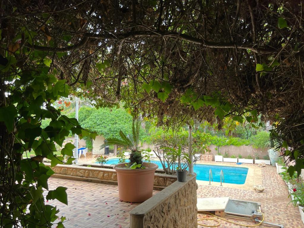 Magnifique villa de luxe front de mer, pieds dans l'eau et piscine view 4