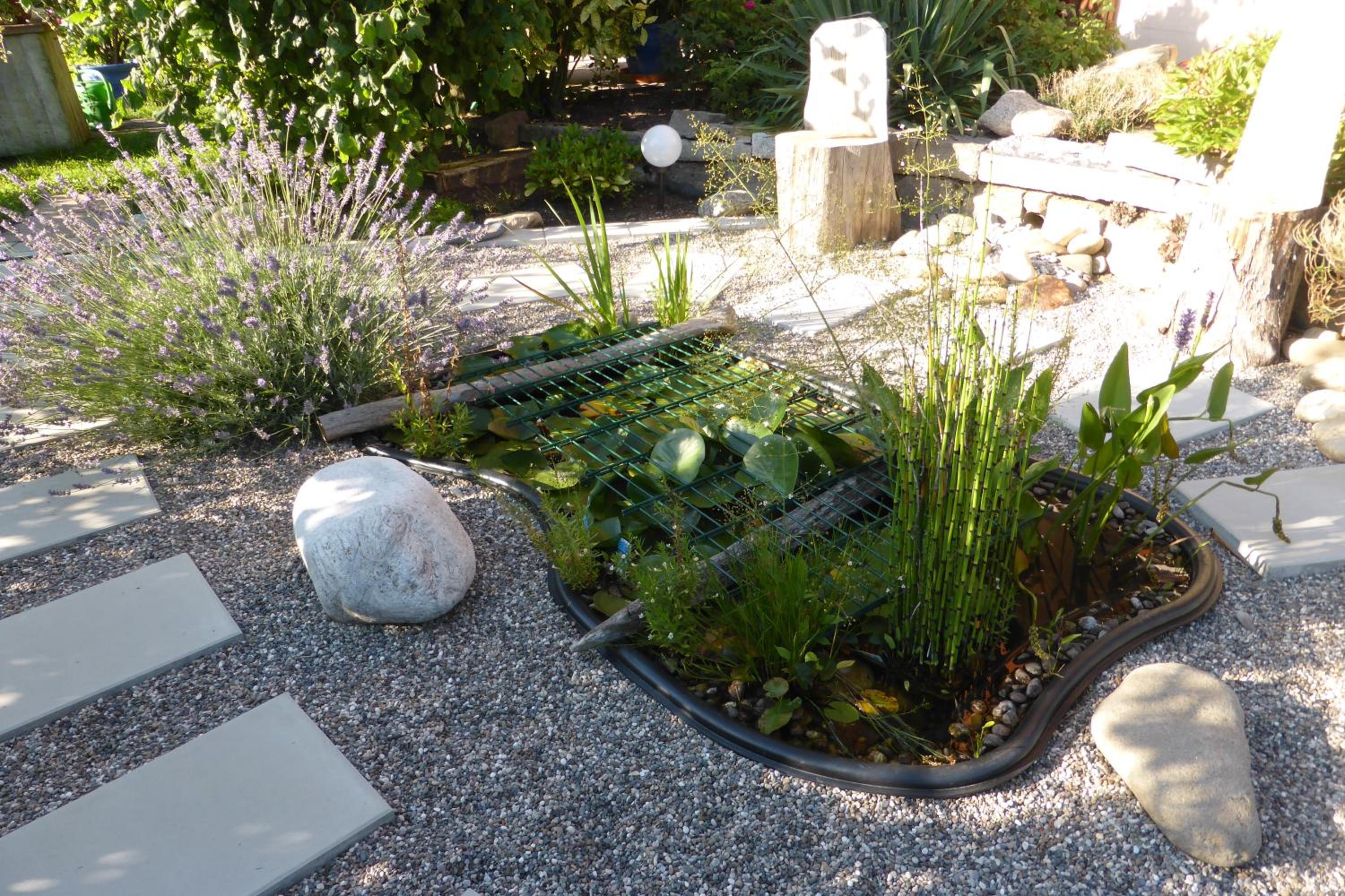 Photo 11