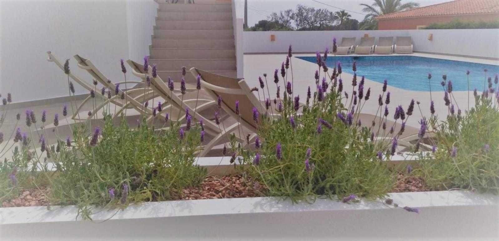 Villa Martí view 2