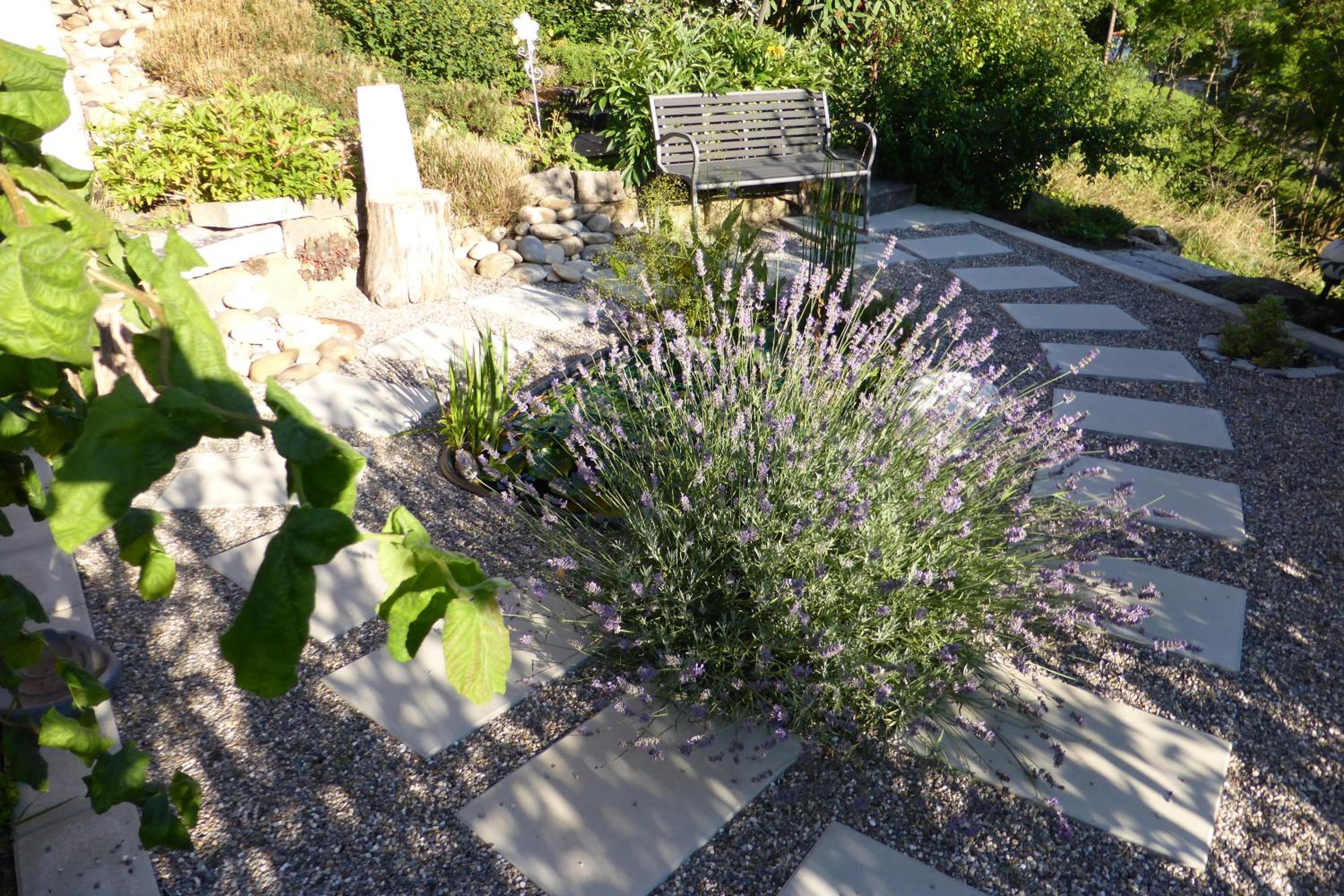 Photo 12