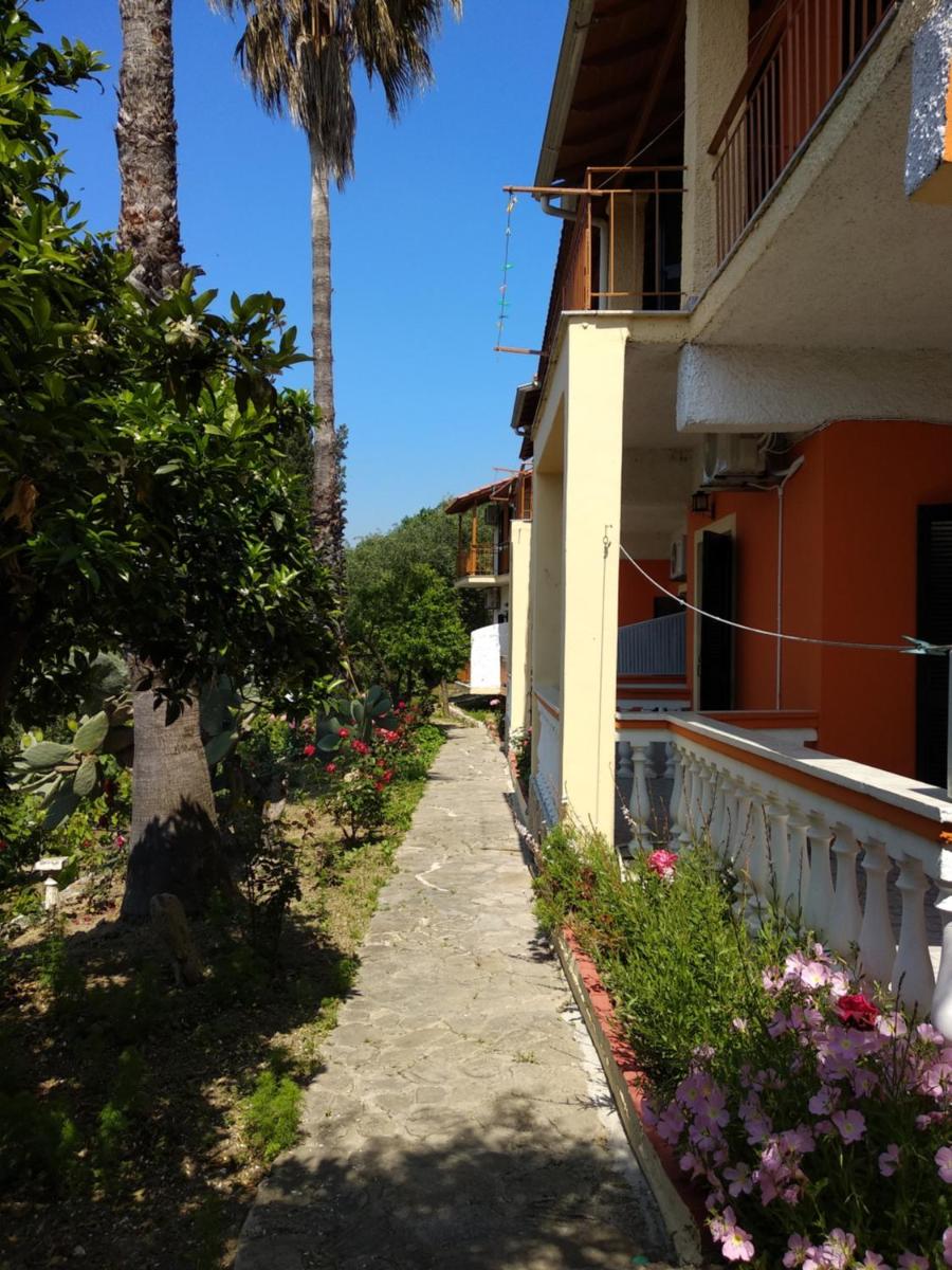 Photo 44