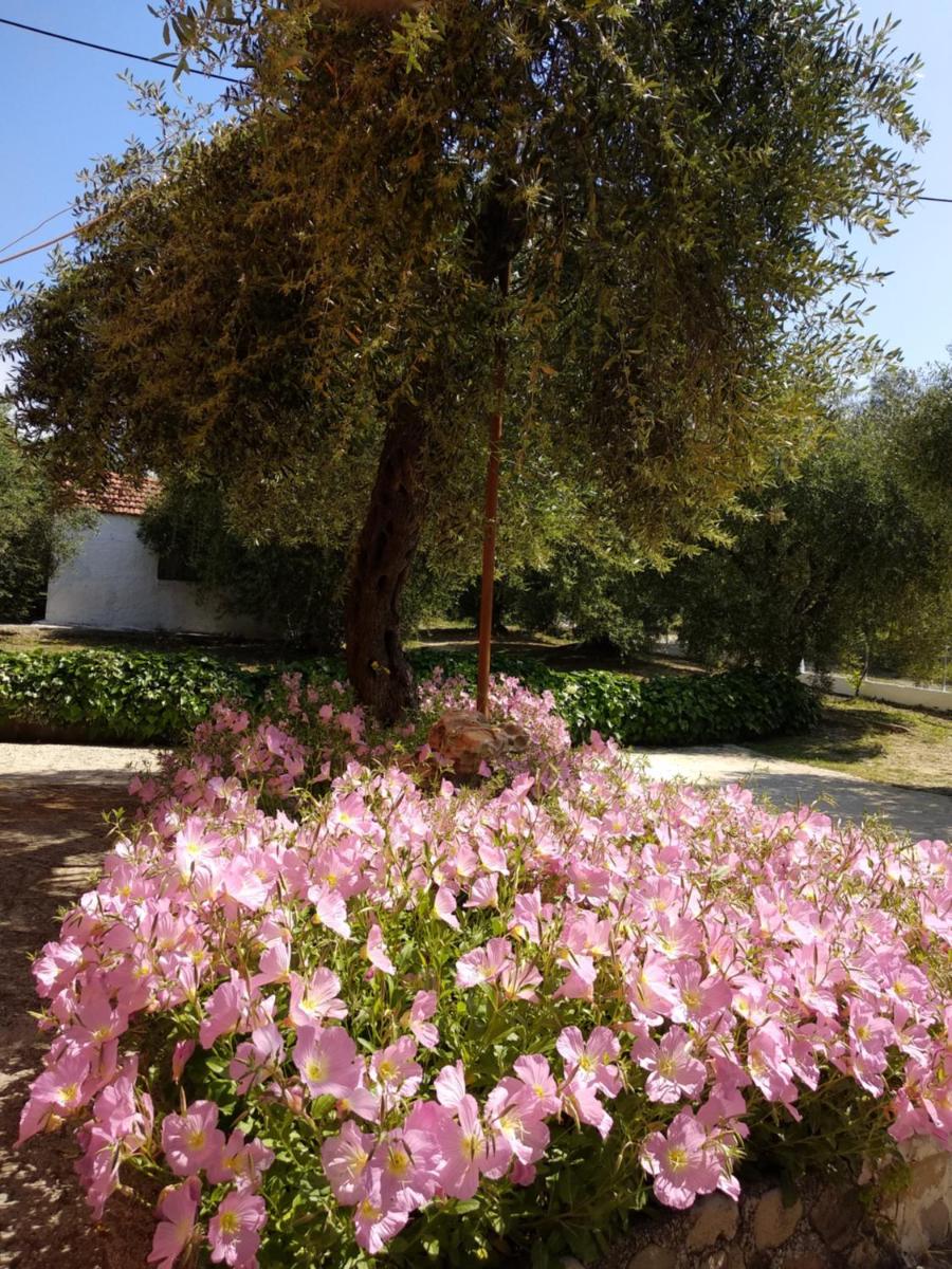 Photo 49